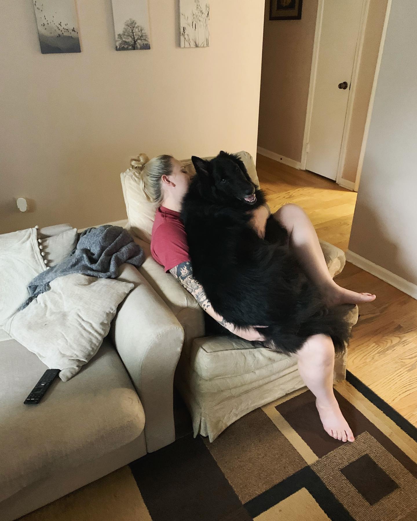 August 16, 2021: Momma snuggles with the smallest of the big boys, Remus 💙 ⁣ ⁣ #groenendael #belgianshepherd #belgianshepherdgroenendael #groenendaelsofinstagram #belgianshepherds...