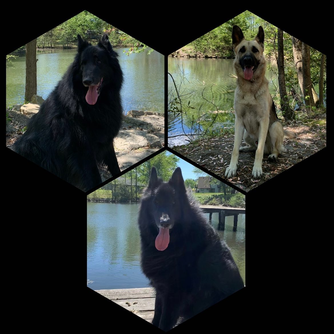 Forced rebrand from the original DirtyHellHounds account