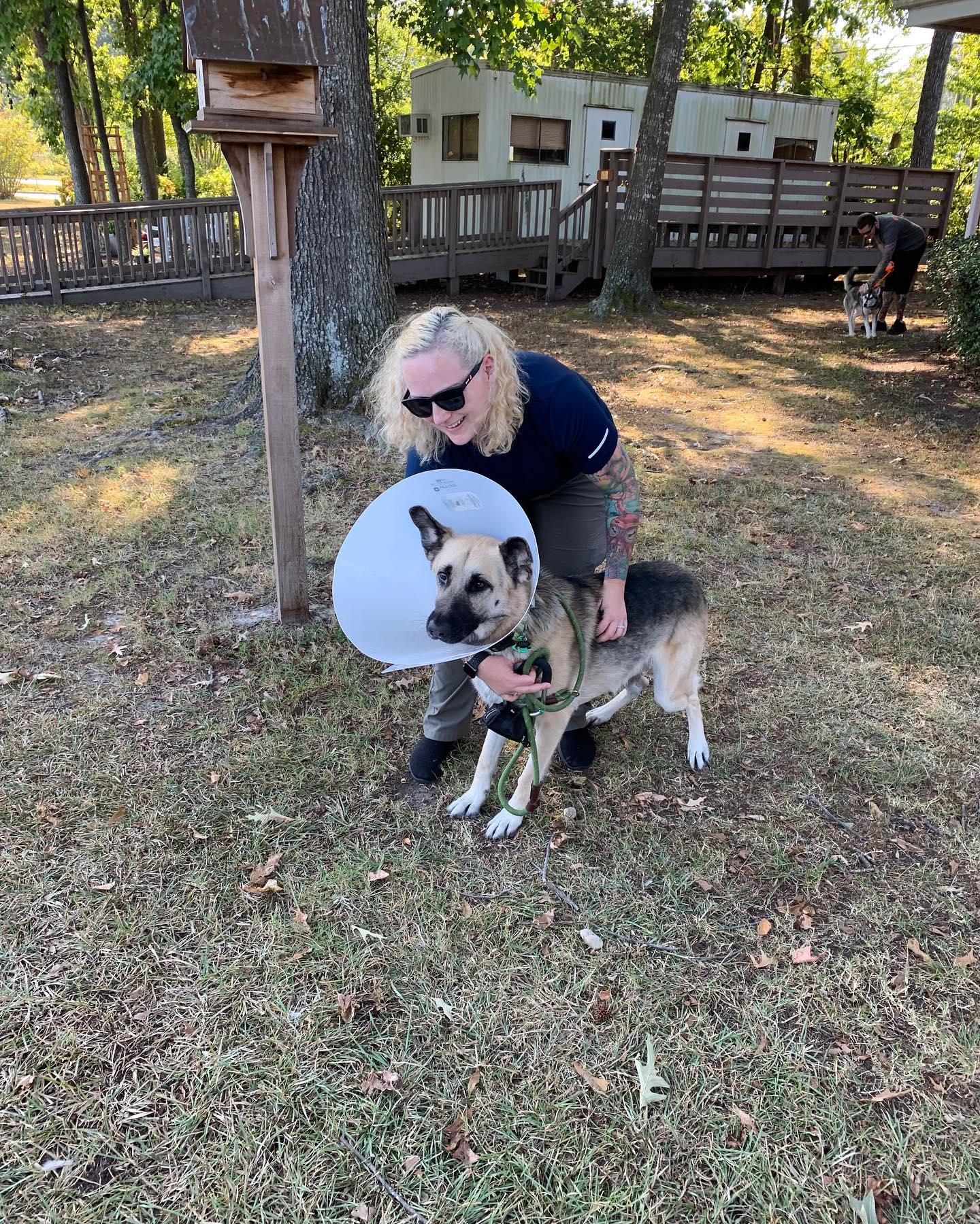 Sep 28, 2021: Lil Loki got the snip ✂️⁣ Wish I could take all of the pain he’s feeling away ☹️ My poor little baby….. ⁣ ⁣ #germanshepherd #gsd #gsdnation #gsdofinstagram #germansh...