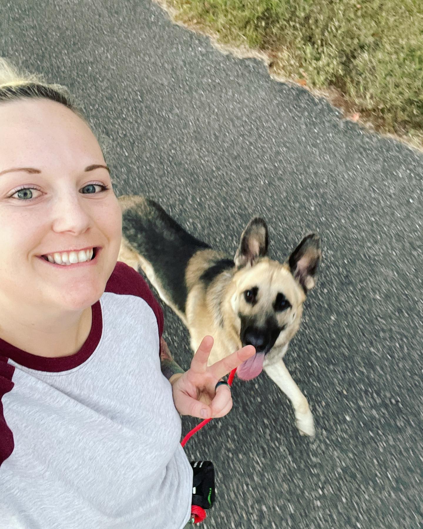 Nov 12, 2021: When all the dogs have different colored leashes, but Mom is too lazy to switch them out between walks 😂 ⁣ Sirius = red ❤️⁣ Remus = blue 💙⁣ Loki = green 💚 ⁣ ⁣ #germa...