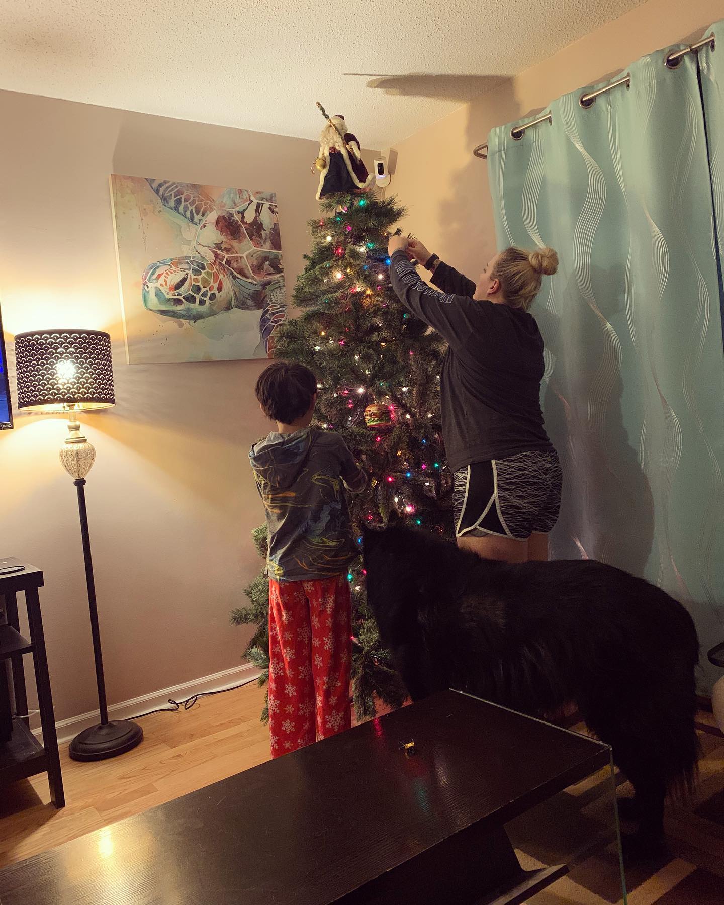 Nov 27, 2021: Getting into the Christmas spirit 🎄 ⁣ We are a family that waits until the day after Thanksgiving 😂 ⁣ ⁣ #mainecoon (mix 😻) #mainecooncat #mainecoonsofinstagram #cats...