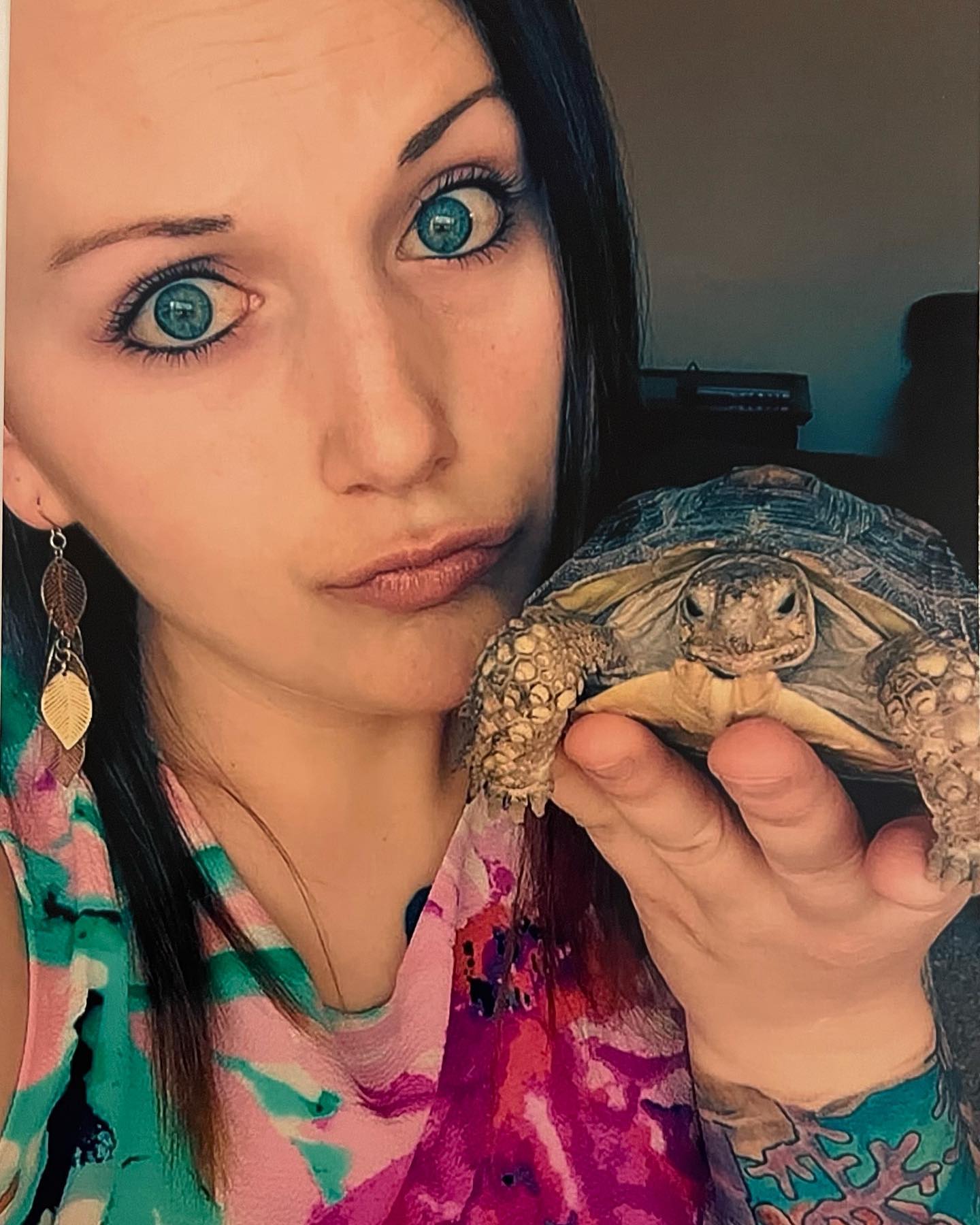 In 2015 Turk Turkleton could fit in the palm of my hand. ⁣ It is 2022 and this ninja turtle is 50lbs! 🐢⁣ ⁣ #tortoise #africansulcata #africansulcatatortoise #sulcatatortoise #spur...