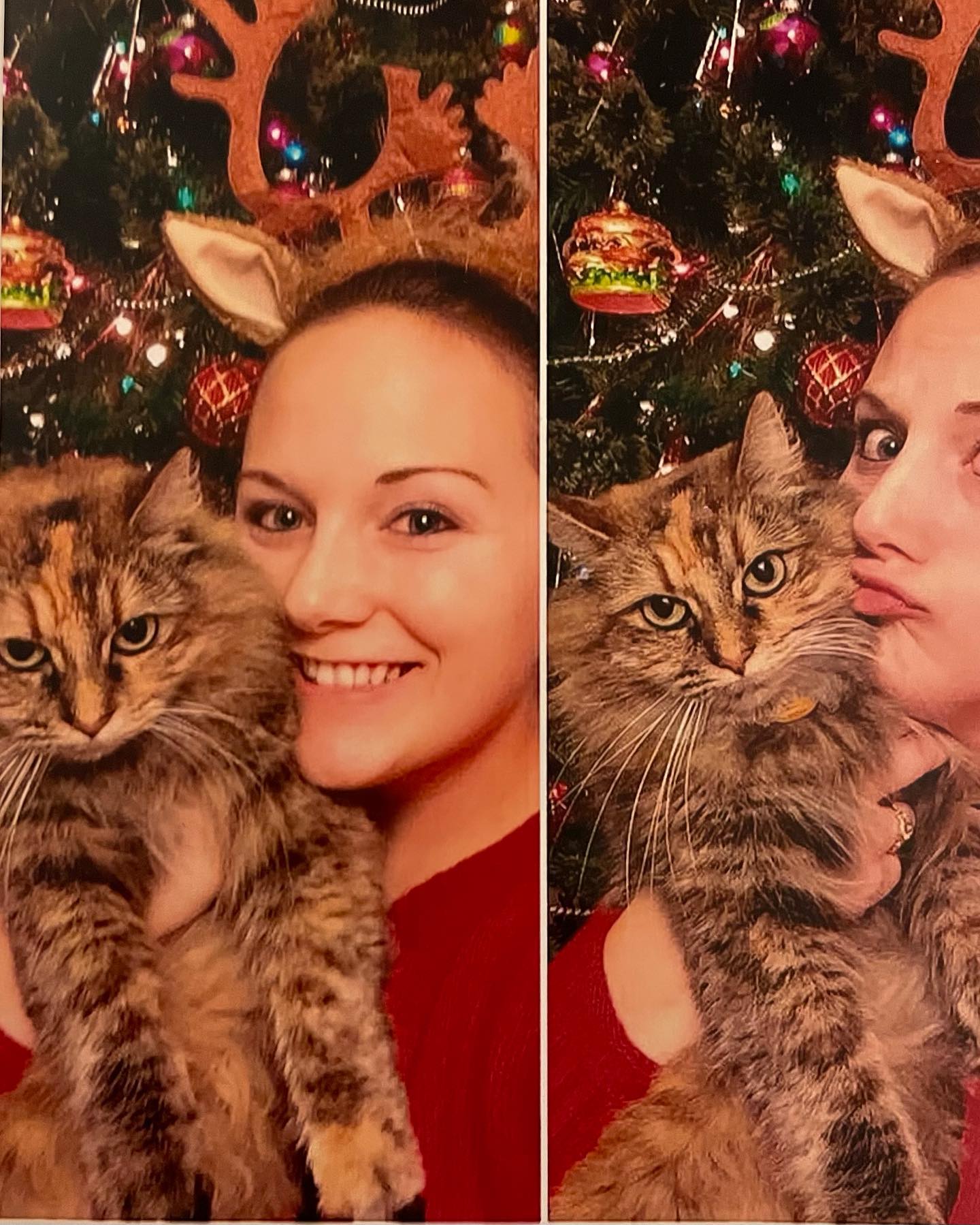 My little Gypsy doodle⁣ 2014 & 2015 ⁣ ⁣ #mainecoon (mix 😽) #mainecooncat #mainecoonsofinstagram #catsofinstagram #catsofinsta #catsofig #catstagram #christmascat #christmascats #c...
