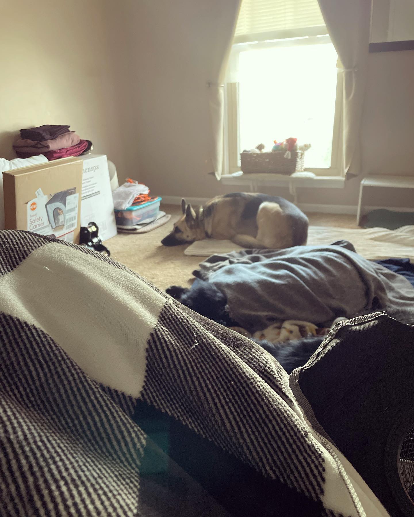 January 7, 2022: Chillin’ 🥶, literally… It was like 30’F that day and the heat was off due to the doors being open… But chillin’ in the spare room while the moving company moves a...