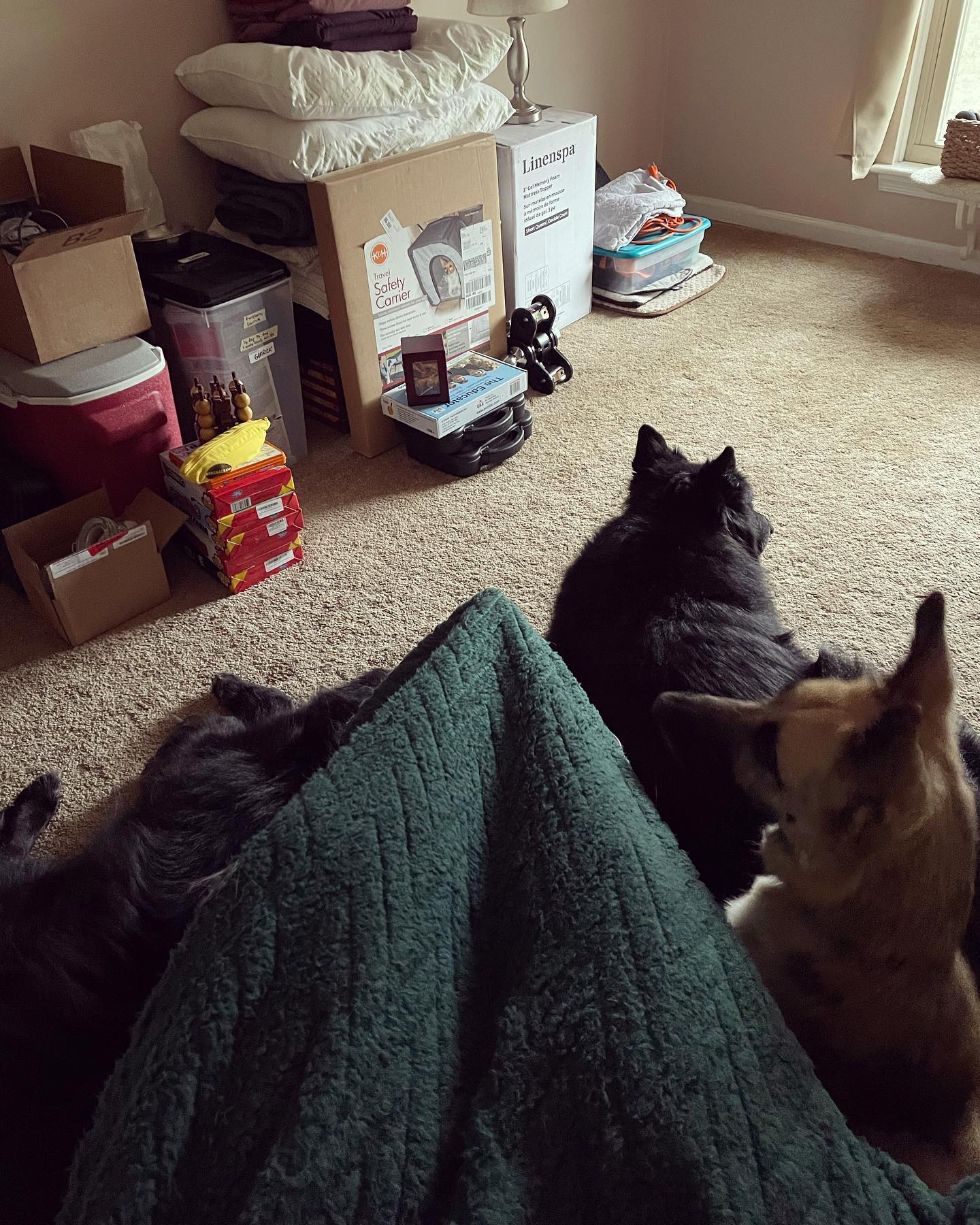 January 7, 2022: Chillin’ 🥶, literally… It was like 30’F that day and the heat was off due to the doors being open… But chillin’ in the spare room while the moving company moves a...