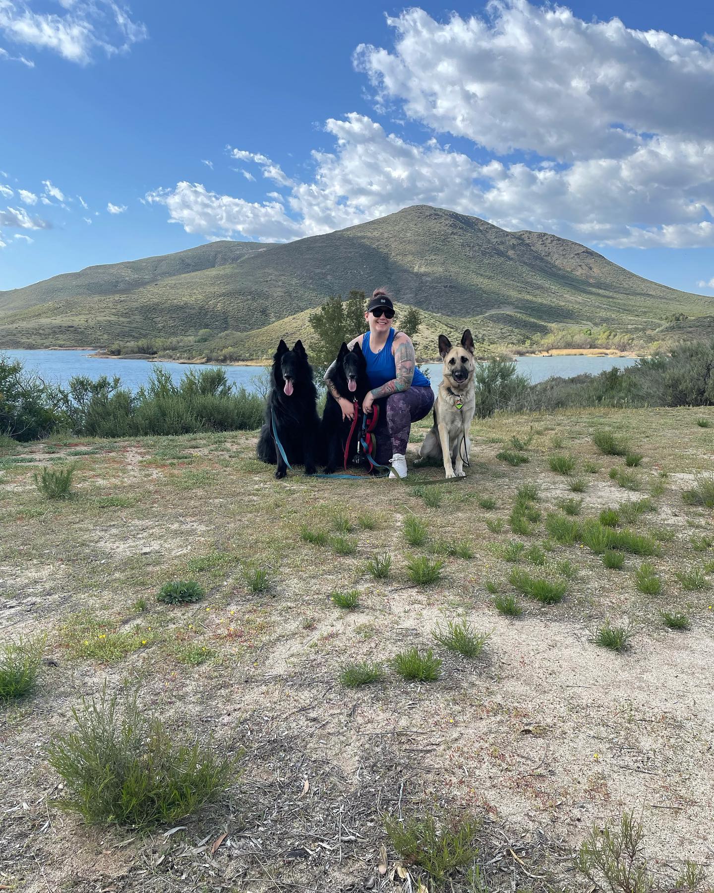 Mar 20, 2022: No filter needed for this beautiful view ⛰⁣ ⁣ #germanshepherd #gsd #gsdofinstagram #belgianshepherd #belgianshepherdgroenendael #groenendael #dogsofinstagram #dogsof...