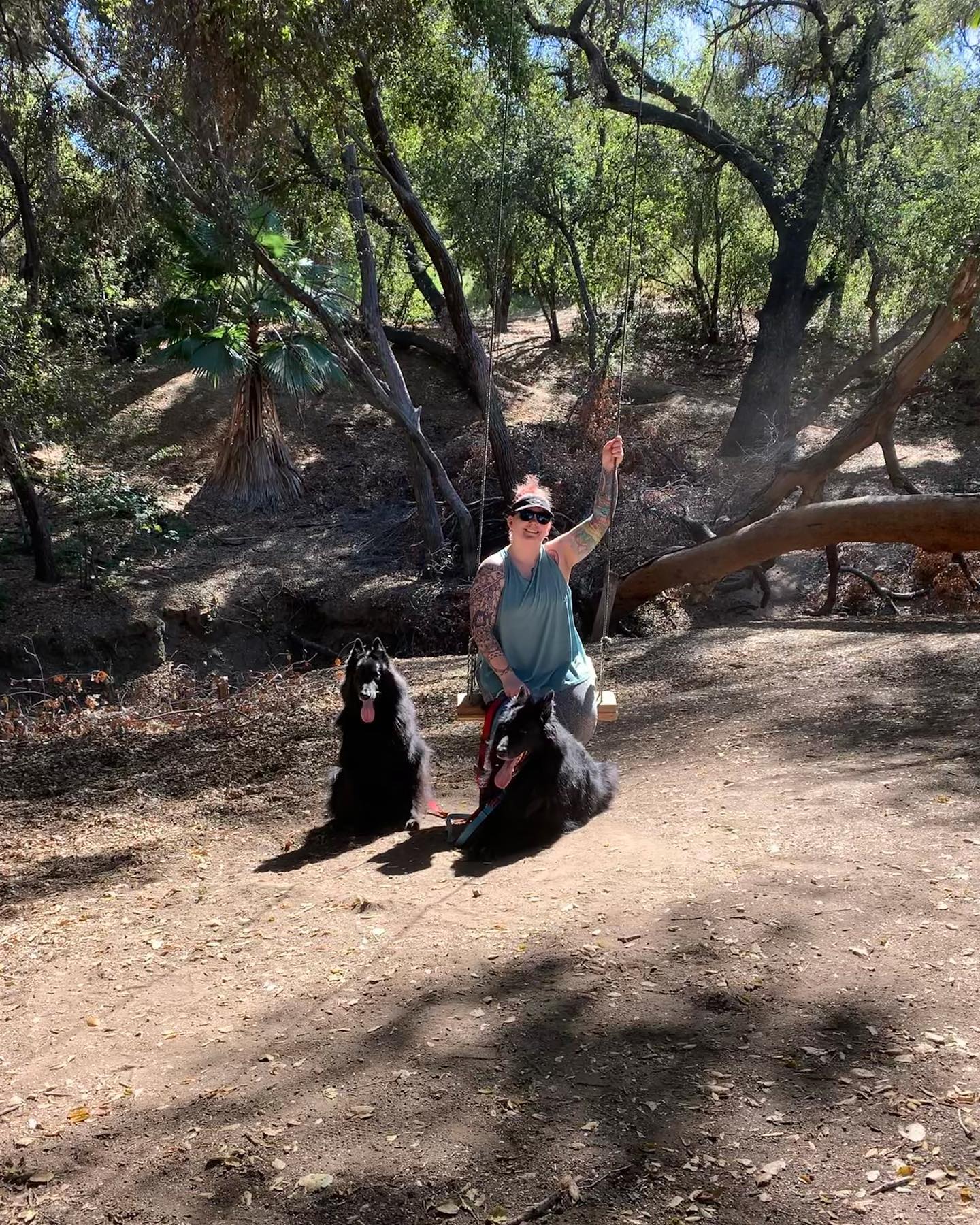 Mar 27, 2022: Another hike in the rolling hills of Murrieta. ⁣ ⁣ #germanshepherd #gsd #gsdofinstagram #belgianshepherd #belgianshepherdgroenendael #groenendael #dogsofinstagram #d...