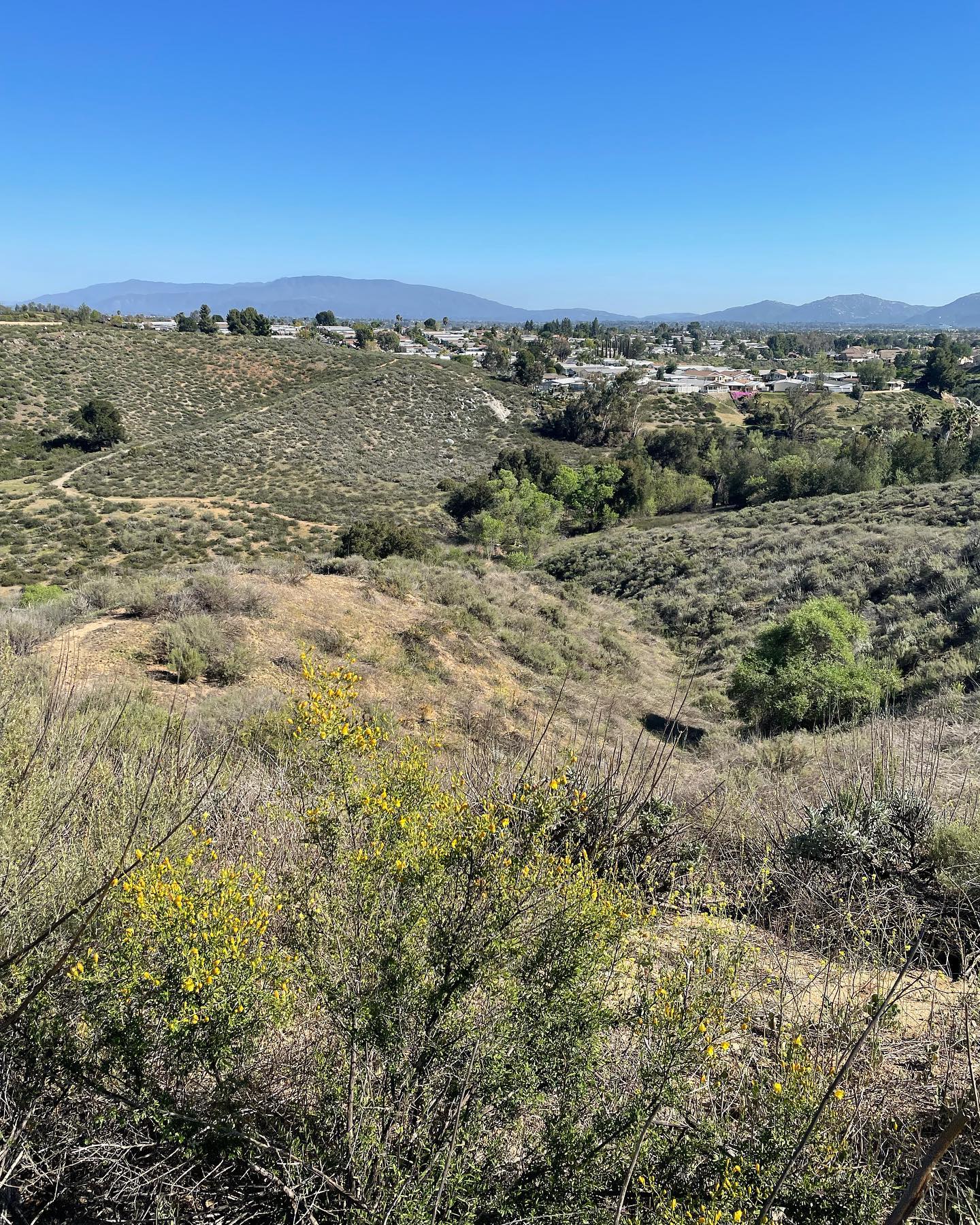 Mar 27, 2022: Another hike in the rolling hills of Murrieta. ⁣ ⁣ #germanshepherd #gsd #gsdofinstagram #belgianshepherd #belgianshepherdgroenendael #groenendael #dogsofinstagram #d...