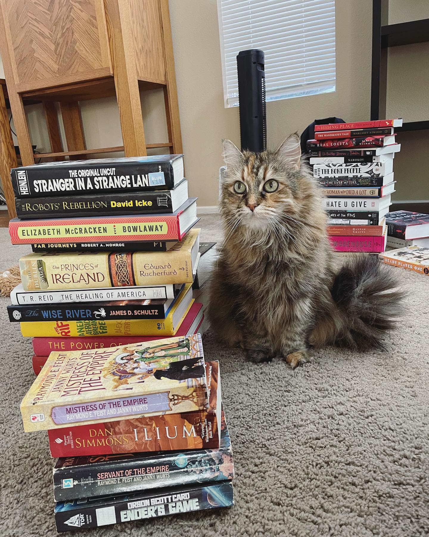Apr 5, 2022: 📚⁣ Not all of these reads were winners. I’m looking at YOU, Bowlaway 🙄⁣ ⁣ #mainecoon (mix 😼) #mainecoons #mainecooncat #mainecoonsofinstagram #catsofinstagram #catsof...