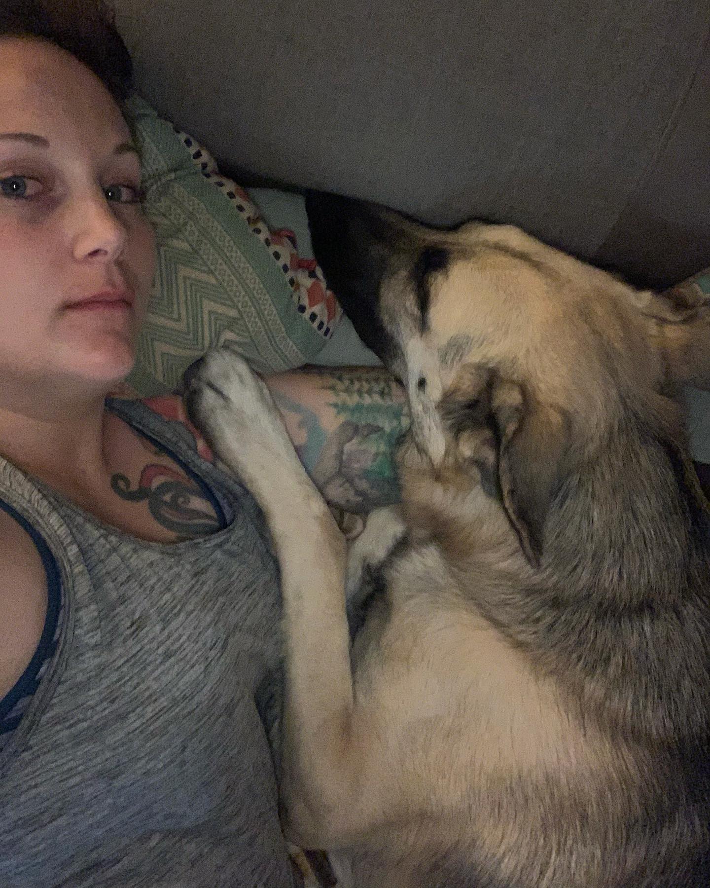 Nov 28, 2019: #latergram ⁣ An extremely rare moment in time when Loki felt like cuddling. He is NOT a cuddly dog 😢 I’m just gonna guess that this did not last very long lol ⁣ ⁣ #g...