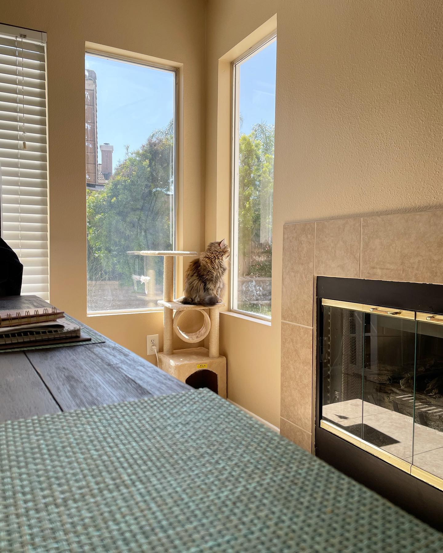 Apr 13, 2022: Gypsy- “Mom fed me the food that she knows I do not like. My life is in shambles and I do not know how much more I can take. Her betrayal pierces my soul in a way pr...