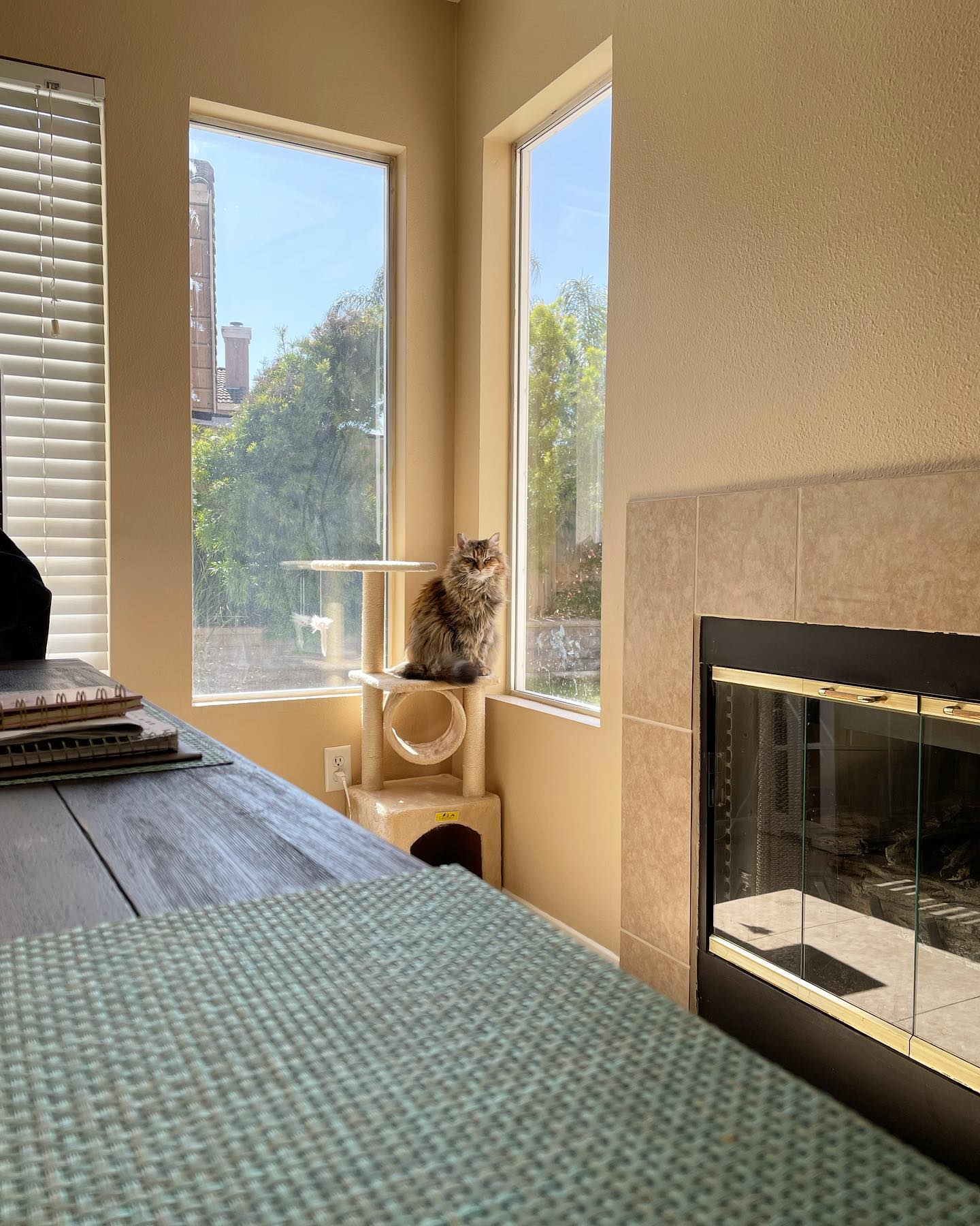 Apr 13, 2022: Gypsy- “Mom fed me the food that she knows I do not like. My life is in shambles and I do not know how much more I can take. Her betrayal pierces my soul in a way pr...