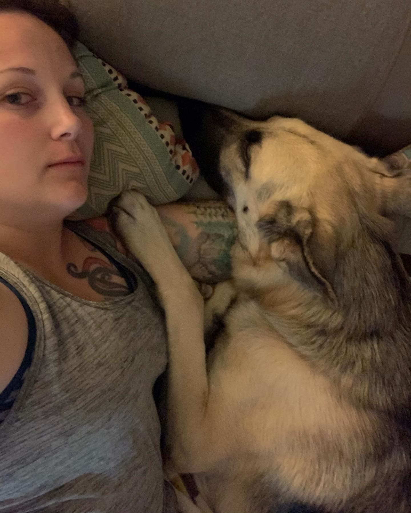 Nov 28, 2019: #latergram ⁣ An extremely rare moment in time when Loki felt like cuddling. He is NOT a cuddly dog 😢 I’m just gonna guess that this did not last very long lol ⁣ ⁣ #g...