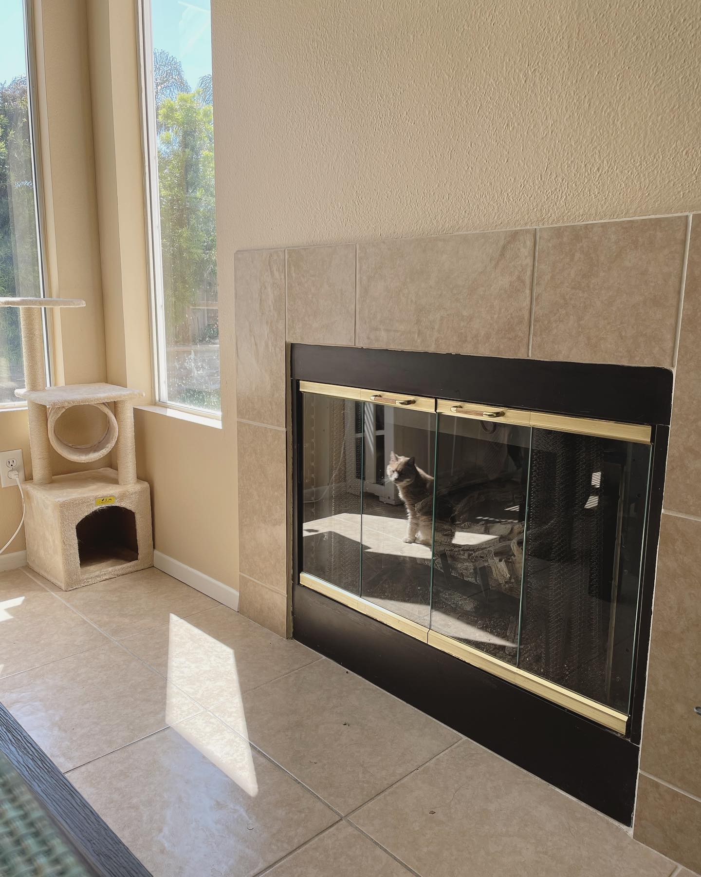 Apr 13, 2022: 𝘳𝘦𝘧𝘭𝘦𝘤𝘵𝘪𝘰𝘯𝘴 ⁣ ⁣ #orangecat #orangetabby #orangetabbycat #orangetabbycatsofinstagram #tabbycat #tabbycatsofinstagram #catsofinstagram #catsofinsta #catsofig #catstagr...