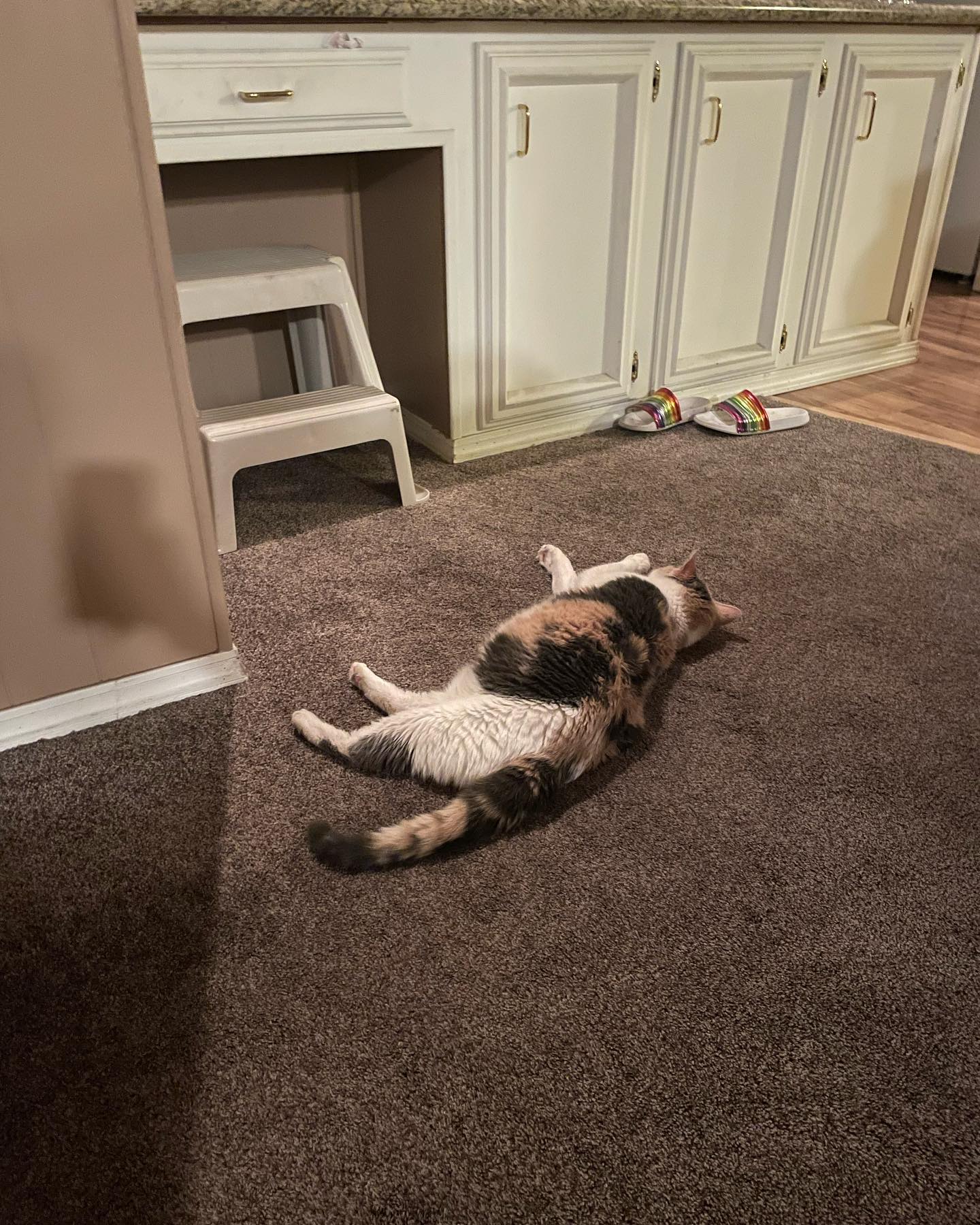 Jun 1-3, 2022: Raspberry, or Buttberry as my Dad has lovingly dubbed her, absolutely loved being the only child at my parents’ house during our visit. ⁣ She was extremely displeas...