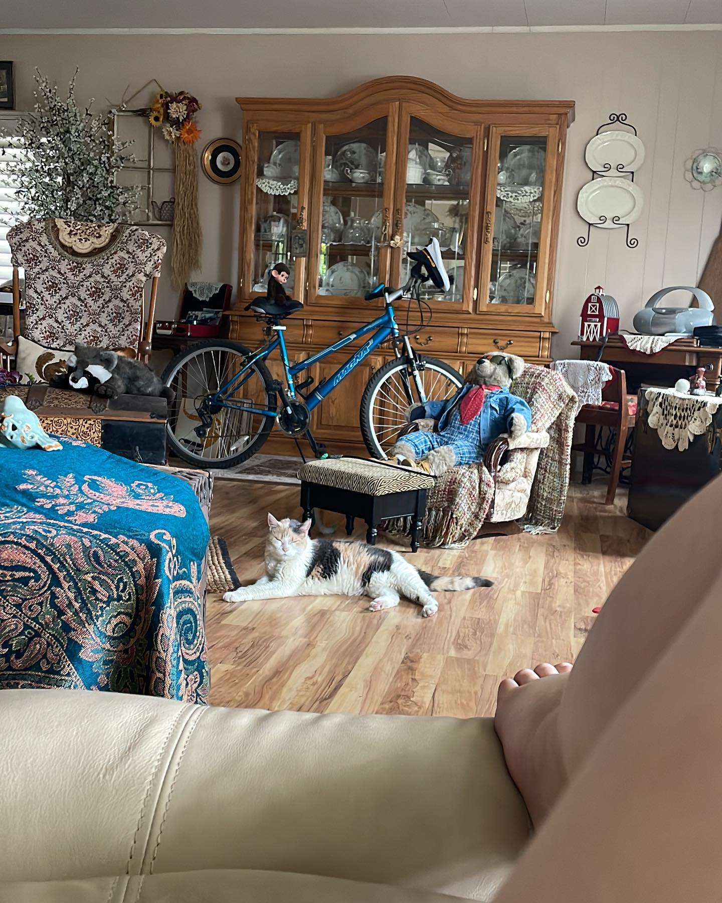 Jun 1-3, 2022: Raspberry, or Buttberry as my Dad has lovingly dubbed her, absolutely loved being the only child at my parents’ house during our visit. ⁣ She was extremely displeas...