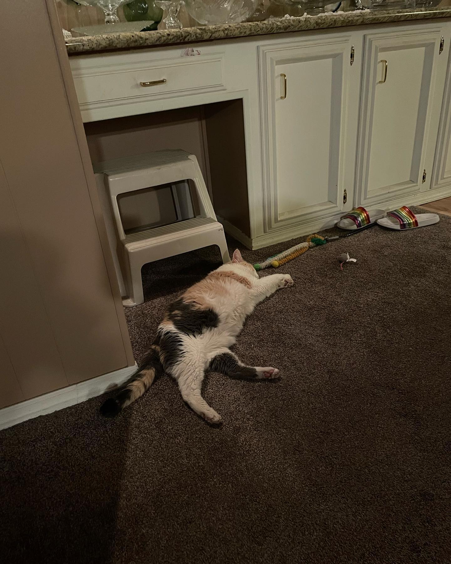 Jun 1-3, 2022: Raspberry, or Buttberry as my Dad has lovingly dubbed her, absolutely loved being the only child at my parents’ house during our visit. ⁣ She was extremely displeas...