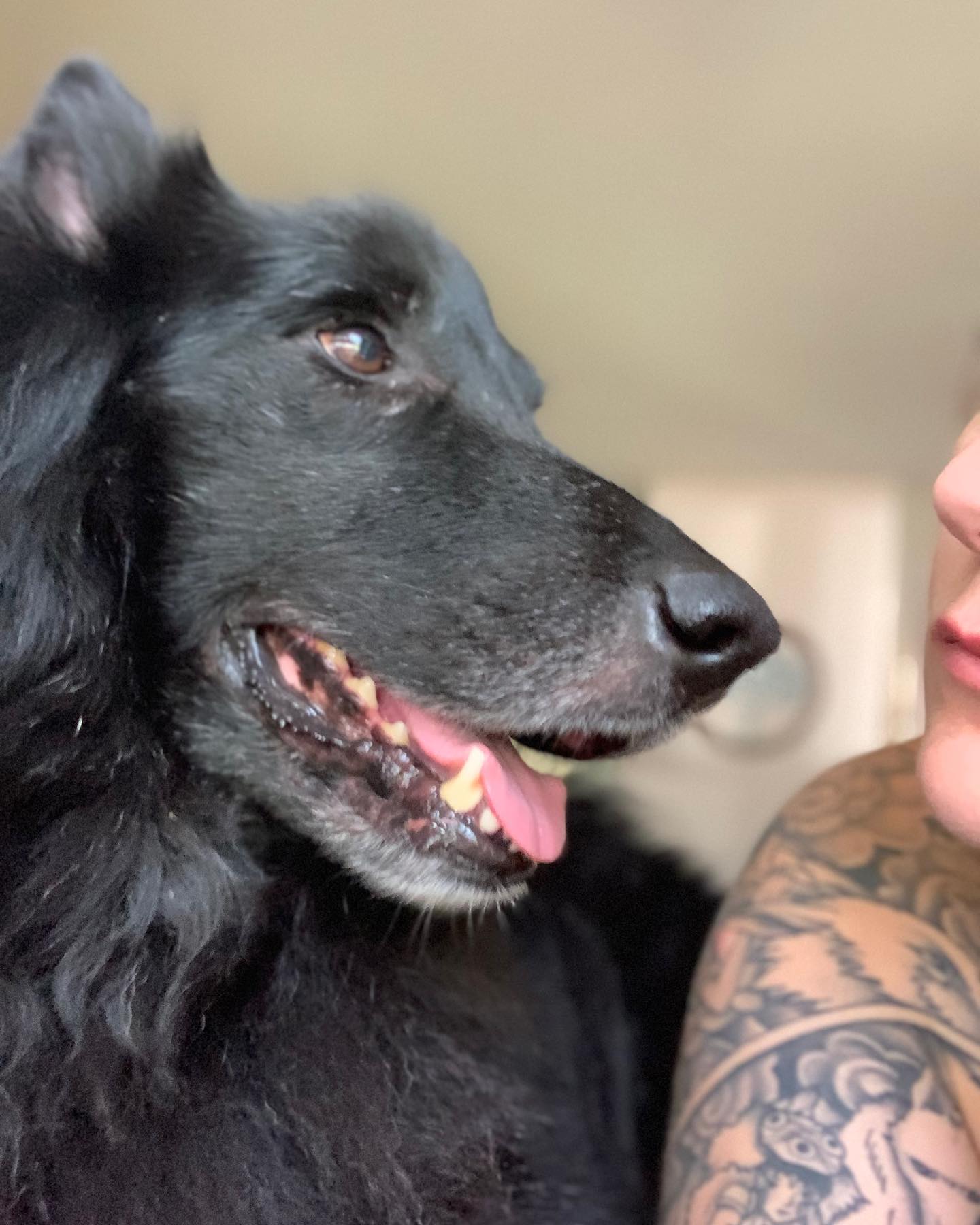 ⁣ The greatest heartbreak I’ve ever known