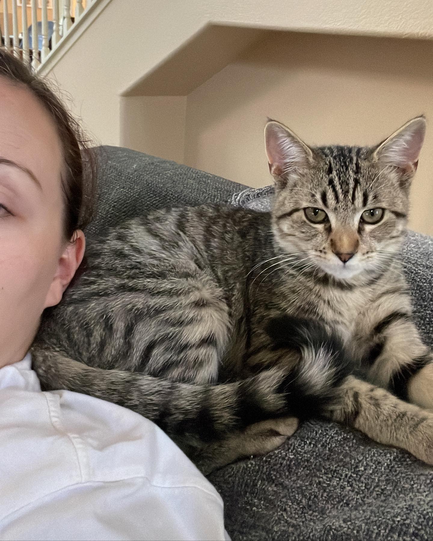 ⁣⁣⁣⁣⁣⁣ Aug - Sep, 2022: ⁣⁣⁣⁣⁣⁣ My little dude Grumps, who was SO hard to let go of and I adored to pieces!!! 😭 Thankful that Grumps was able to find his forever home thanks to Sec...