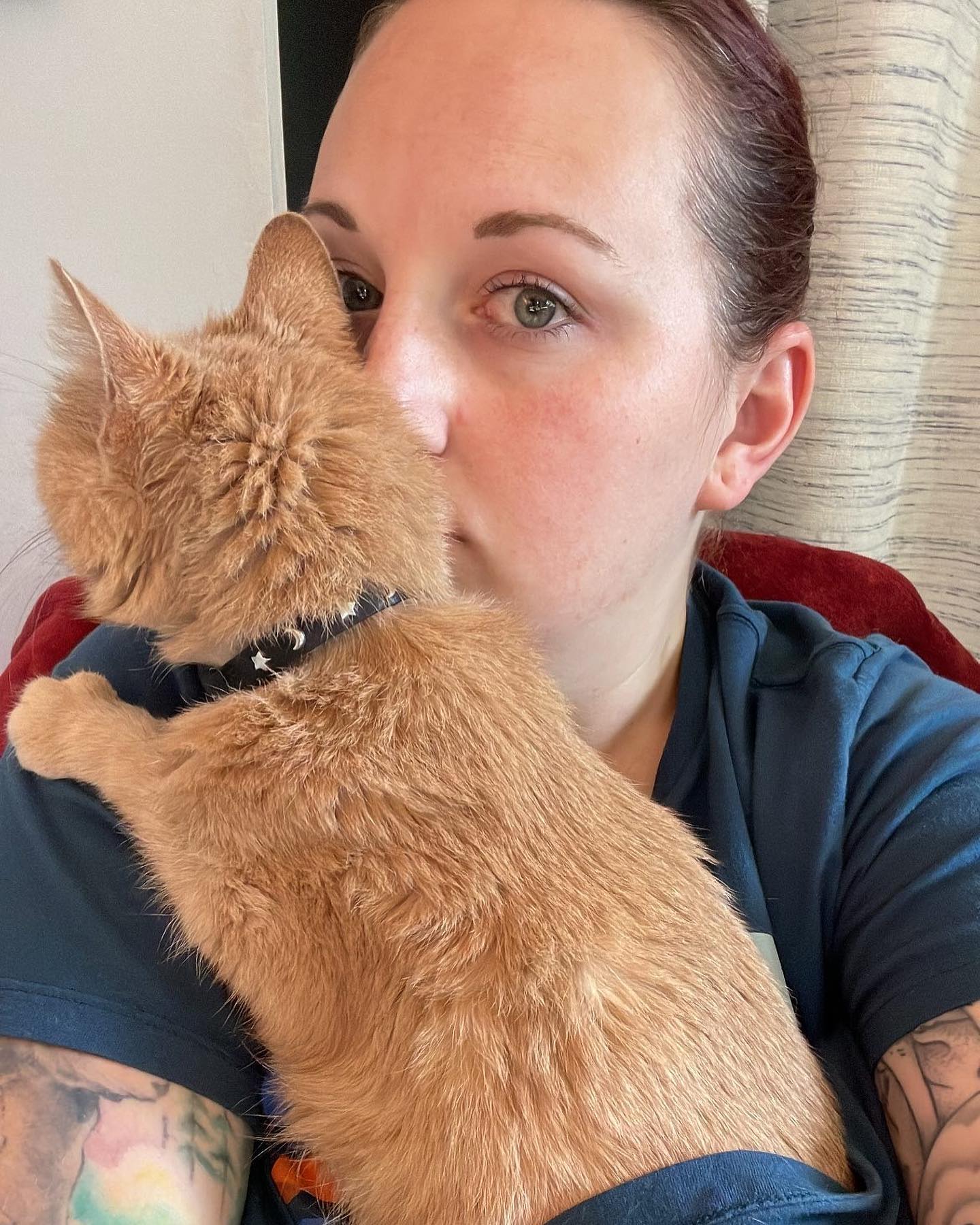 👑 ⁣ May 30, 2023: Princess treatment- when your cat demands cuddles while you’re working ⁣ ⁣ #orangecat #orangecatsofinstagram #tabbycat #tabbycatsofinstagram #orangetabbycat #ora...