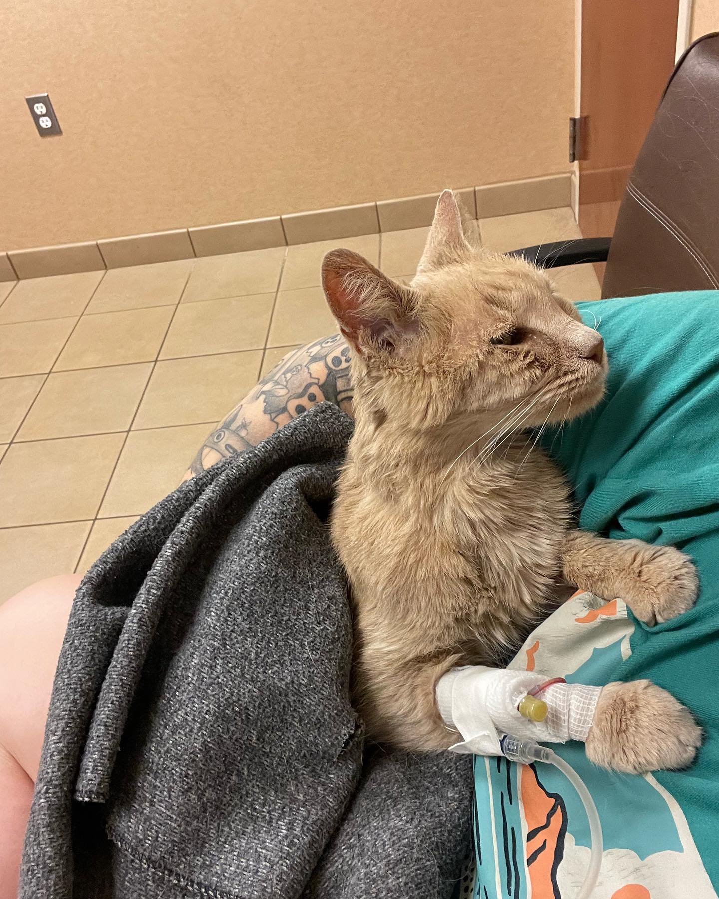 🤍⁣ Rest in Peace, little Rajah ⁣ June 18, 2023⁣ ⁣ Thank you for over 11 years of unconditional and nonstop love. I love you with my whole, entire heart ♥️ ⁣ I will miss your sweet...