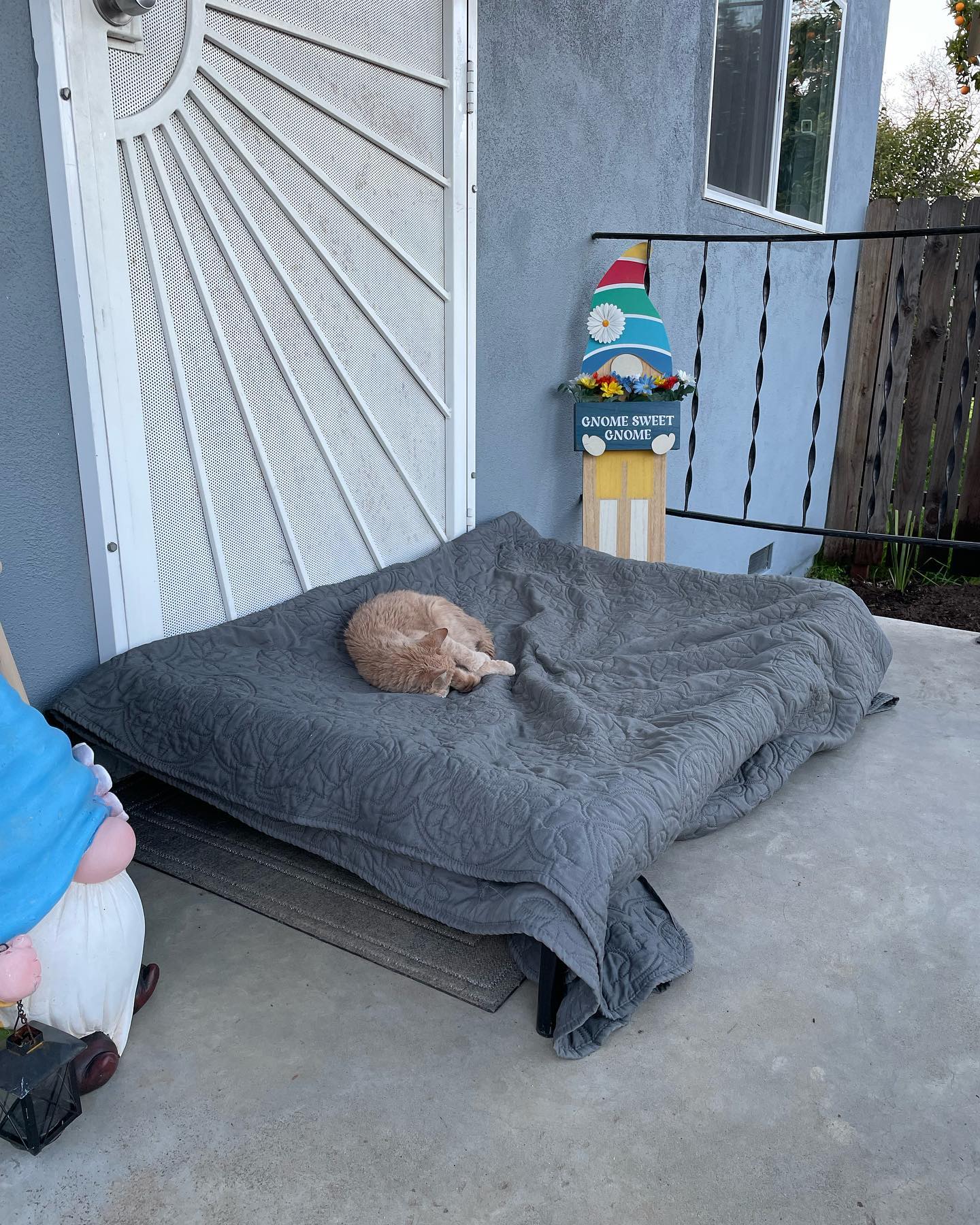 🤍⁣ Princess Rajah was so adventurous and loved being outdoors⁣ After I adopted her from her first family in 2012, she taught Gypsy how to jump up onto the balcony railing of our 2...
