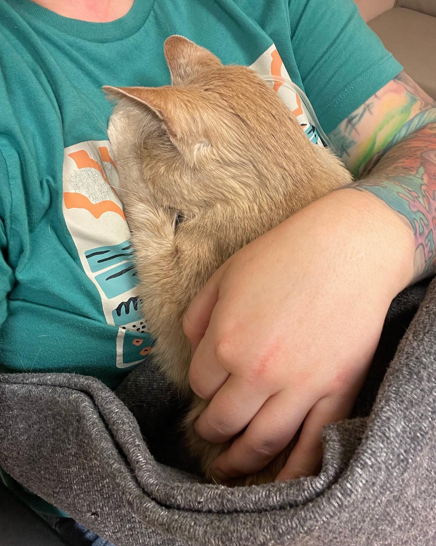 🤍⁣ Rest in Peace, little Rajah ⁣ June 18, 2023⁣ ⁣ Thank you for over 11 years of unconditional and nonstop love. I love you with my whole, entire heart ♥️ ⁣ I will miss your sweet...