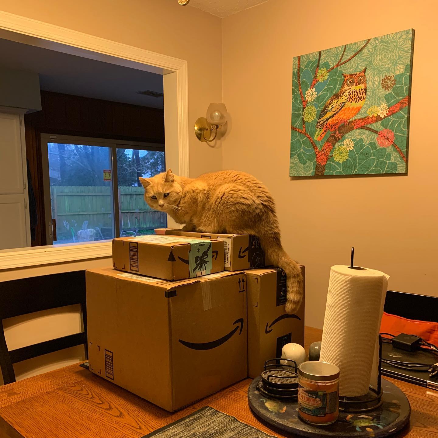 🤍⁣ I hope I did right by you, little Rajah. ⁣ I gave you a life of comfort and love. ⁣ I gave you a home and a family. ⁣ ⁣ You gave me an abundance of love that I will never forge...