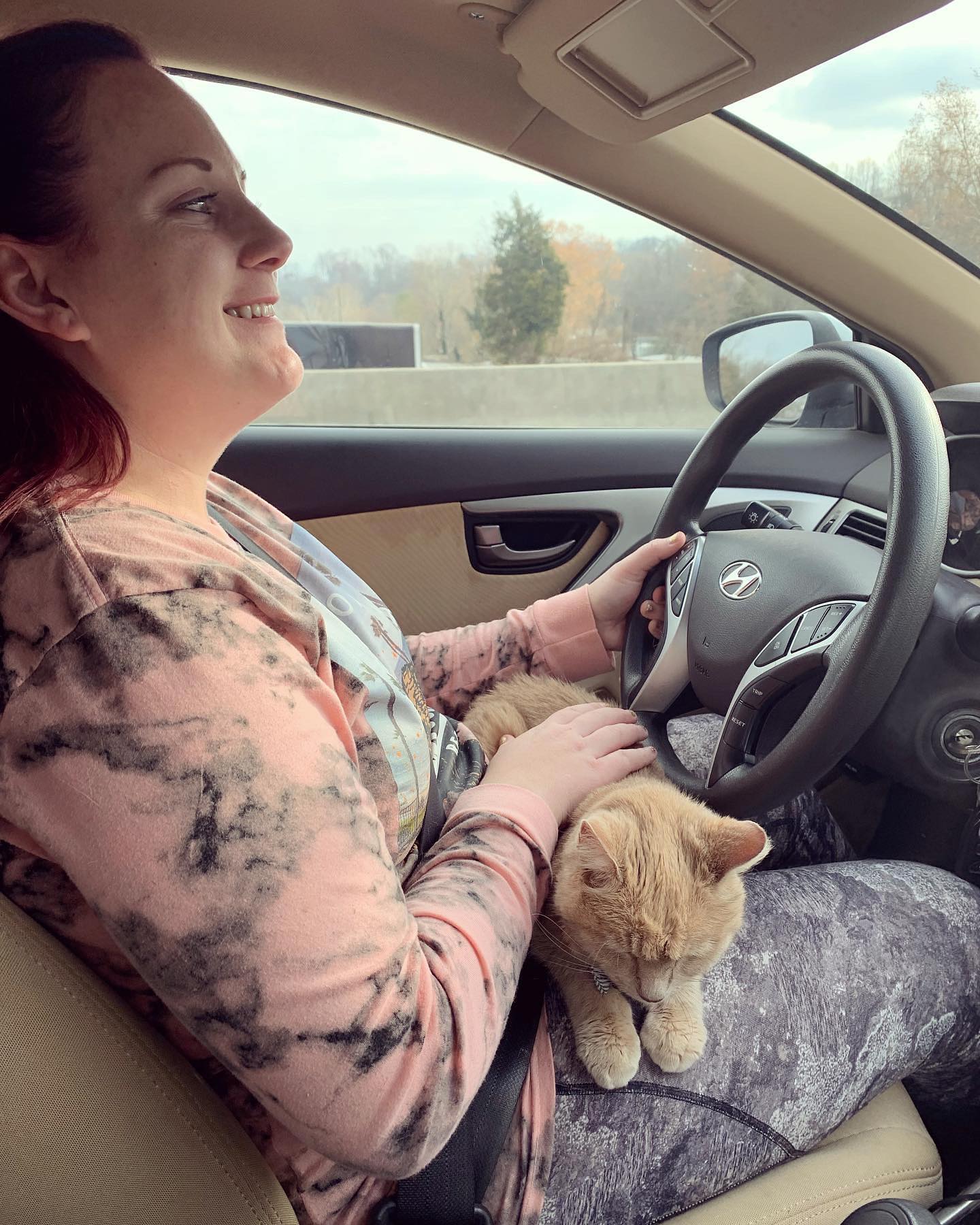 🗺️⁣ Rajah Rajah Rajah the Explorahhhhhh⁣ ⁣ Rajah traveled from TX to VA with her first family. ⁣ I adopted her in 2012 in VA, and then drove her cross-country from VA to SoCal ove...