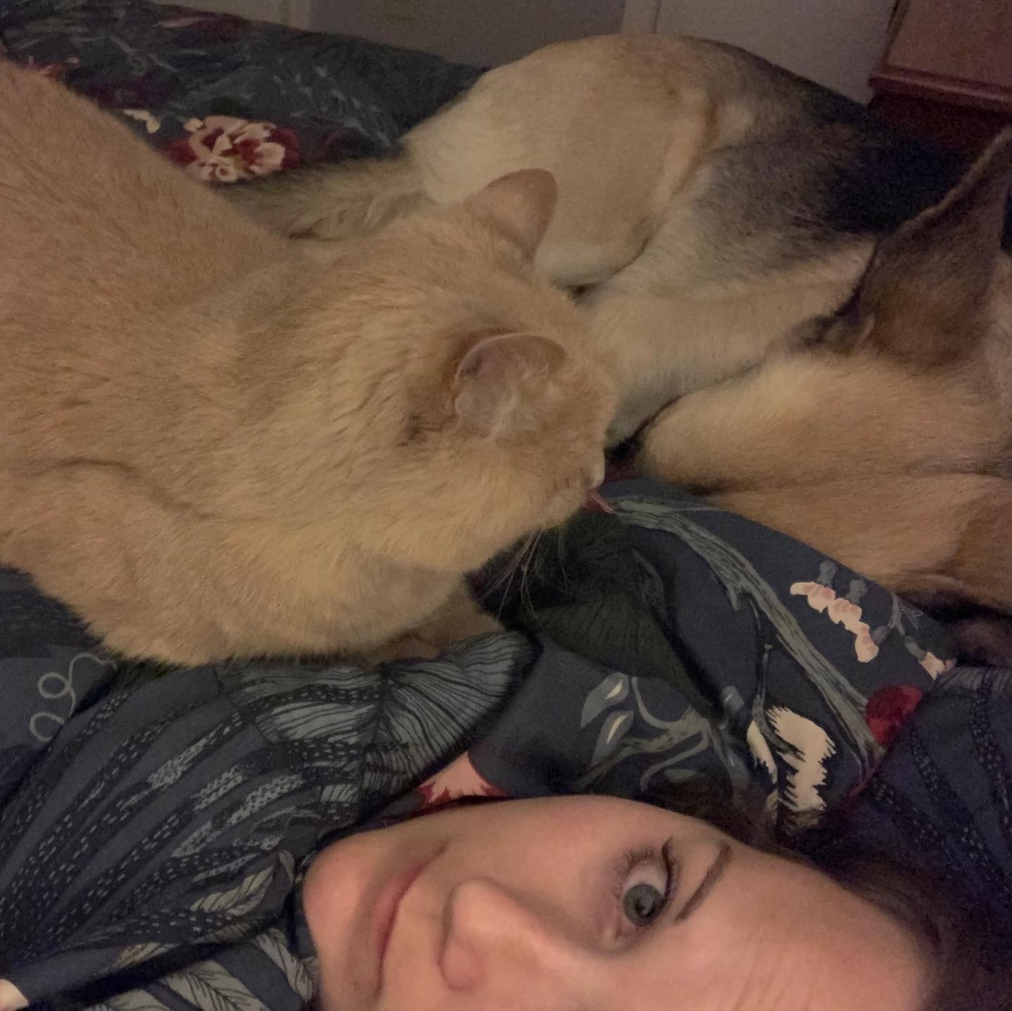 🤍⁣ I hope I did right by you, little Rajah. ⁣ I gave you a life of comfort and love. ⁣ I gave you a home and a family. ⁣ ⁣ You gave me an abundance of love that I will never forge...
