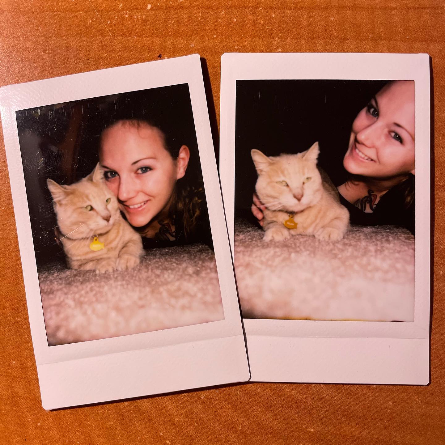 🤍⁣ One month without my sweet Princess⁣ Thank you for your 11 years of love and companionship, little Rajah. ⁣ I miss you everyday