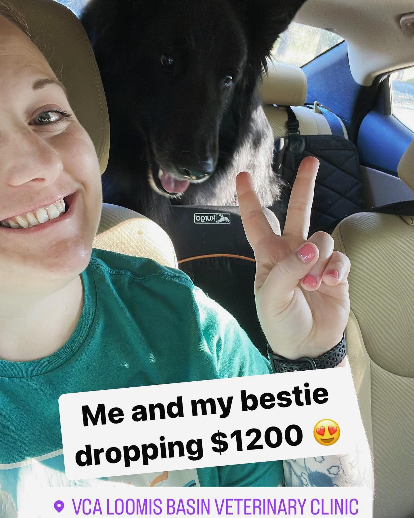 ⁣ A series of Sirius being an ✨expensive boi✨ ⁣ • June - Ear infection ⁣ • early September - Tummy troubles ⁣ • late September - Being treated for limping ⁣ Thank you @carecredit...