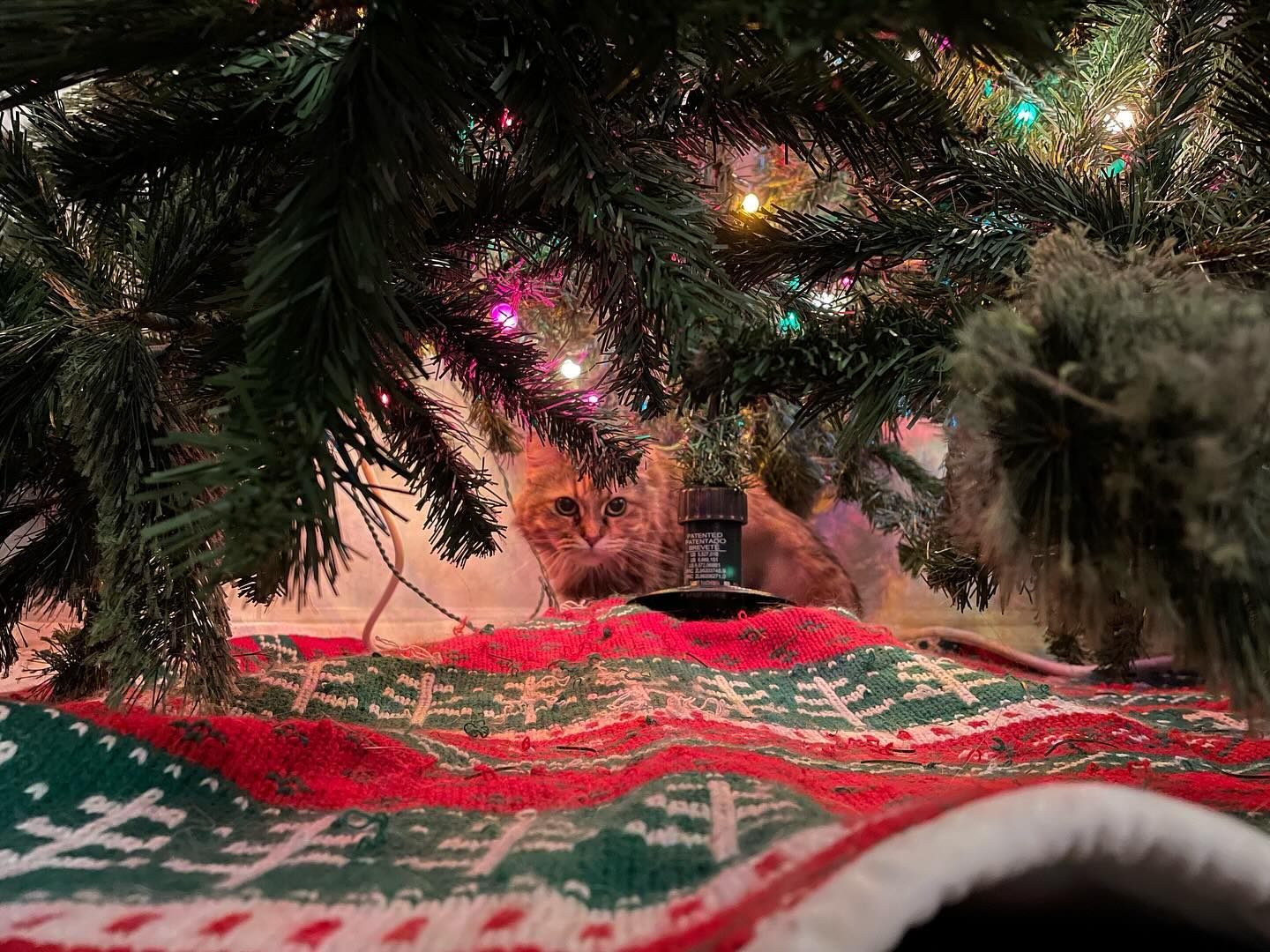 ⁣ 🎄 2023 vs 2020