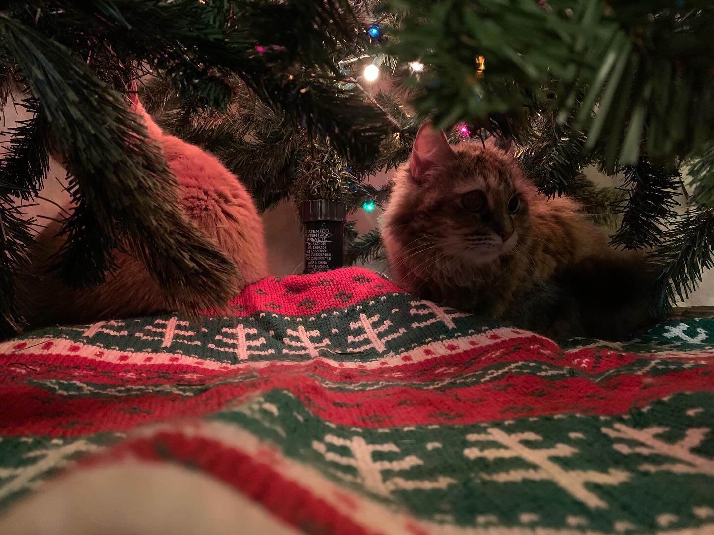 ⁣ 🎄 2023 vs 2020