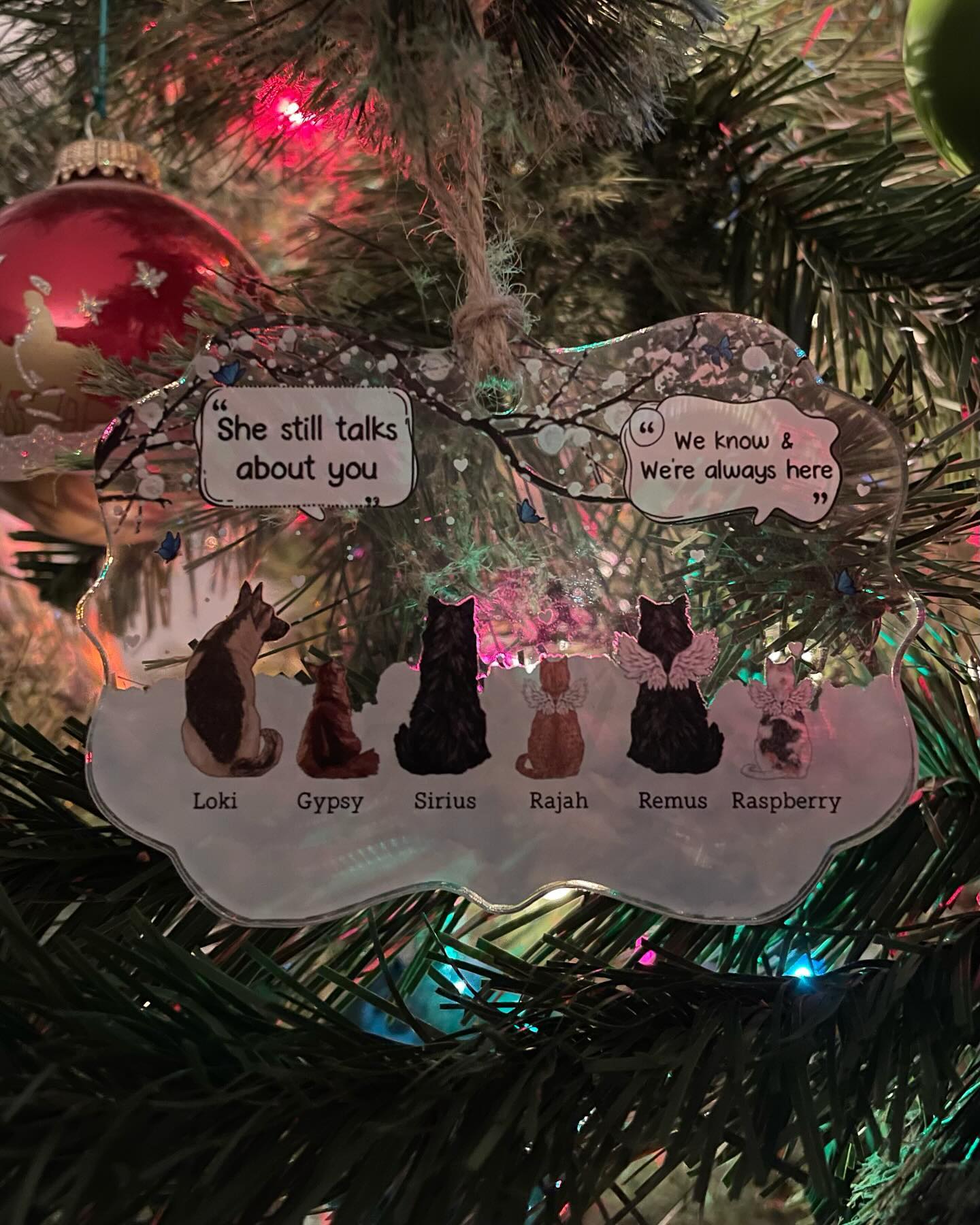 ⁣ 🎅🏻 𝓜𝓮𝓻𝓻𝔂 𝓒𝓱𝓻𝓲𝓼𝓽𝓶𝓪𝓼! 🎄