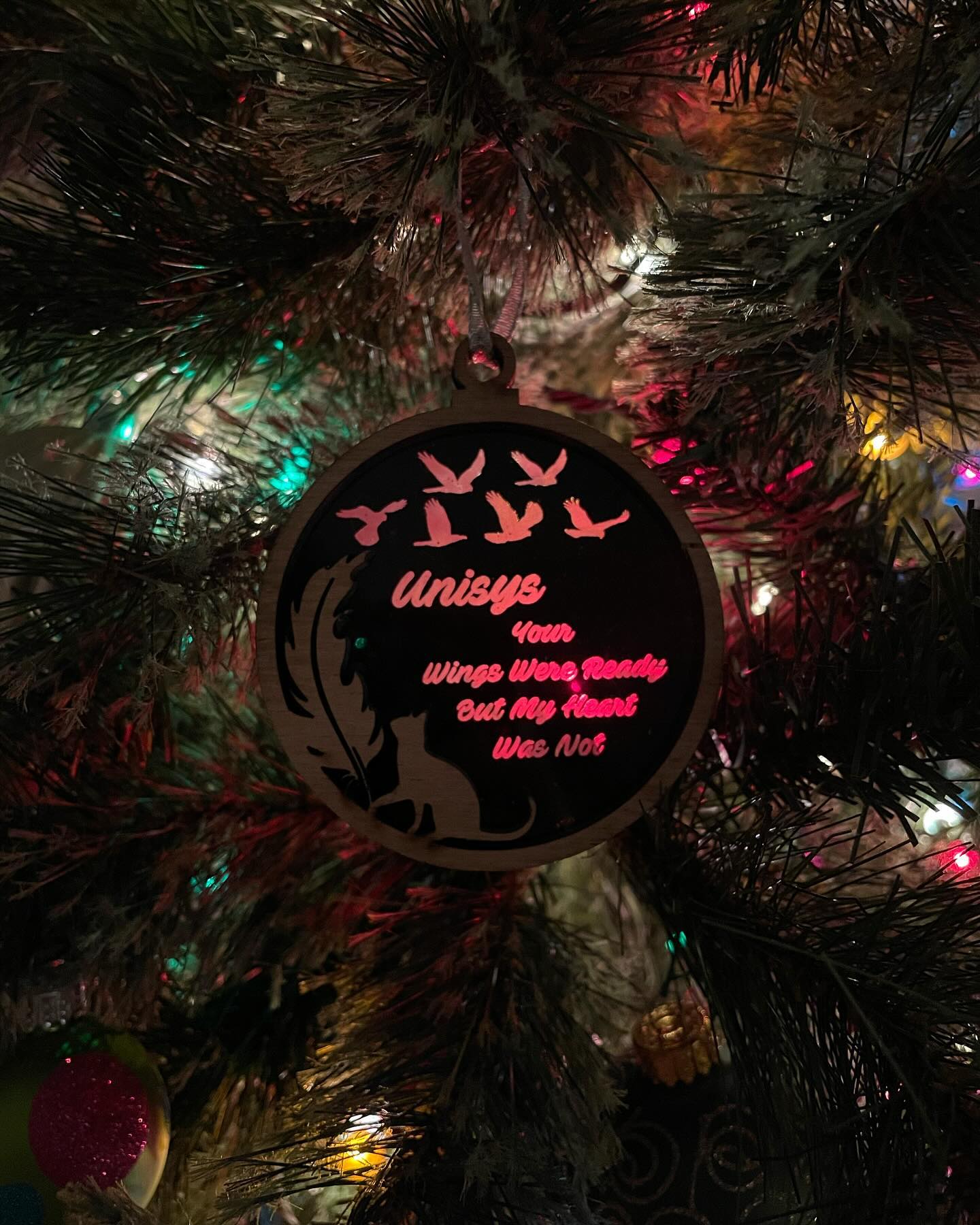 ⁣ 🎅🏻 𝓜𝓮𝓻𝓻𝔂 𝓒𝓱𝓻𝓲𝓼𝓽𝓶𝓪𝓼! 🎄
