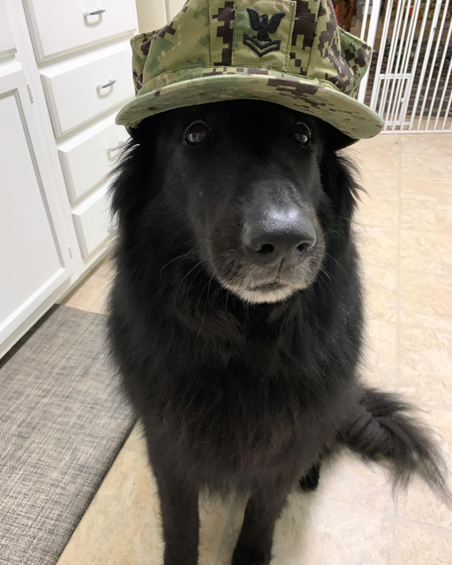 ⁣ I love and miss you so much, Bubba. ⁣ I don’t know what I’m going to do without my happy, slobbery, cuddly, handsome man. ⁣ ⁣ I am completely heartbroken