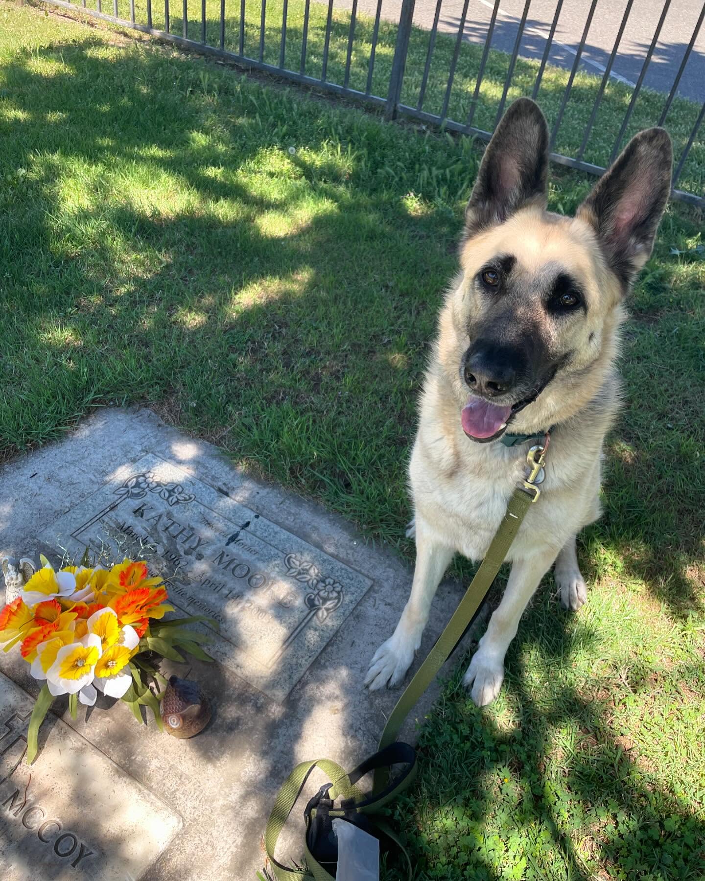 ⁣ May 12, 2024: 💐 Mother’s Day 💞 ⁣ Loki got to meet his grandma today, and we asked her to pretty please take care of Sirius, Remus, Rajah, Raspberry, and Unisys at the rainbow br...