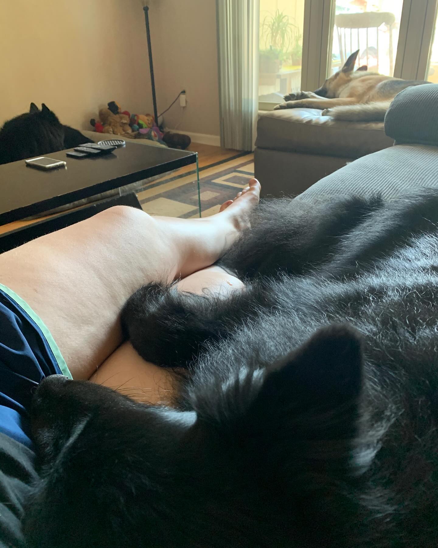 ⁣ I love and miss you so much, Bubba. ⁣ I don’t know what I’m going to do without my happy, slobbery, cuddly, handsome man. ⁣ ⁣ I am completely heartbroken