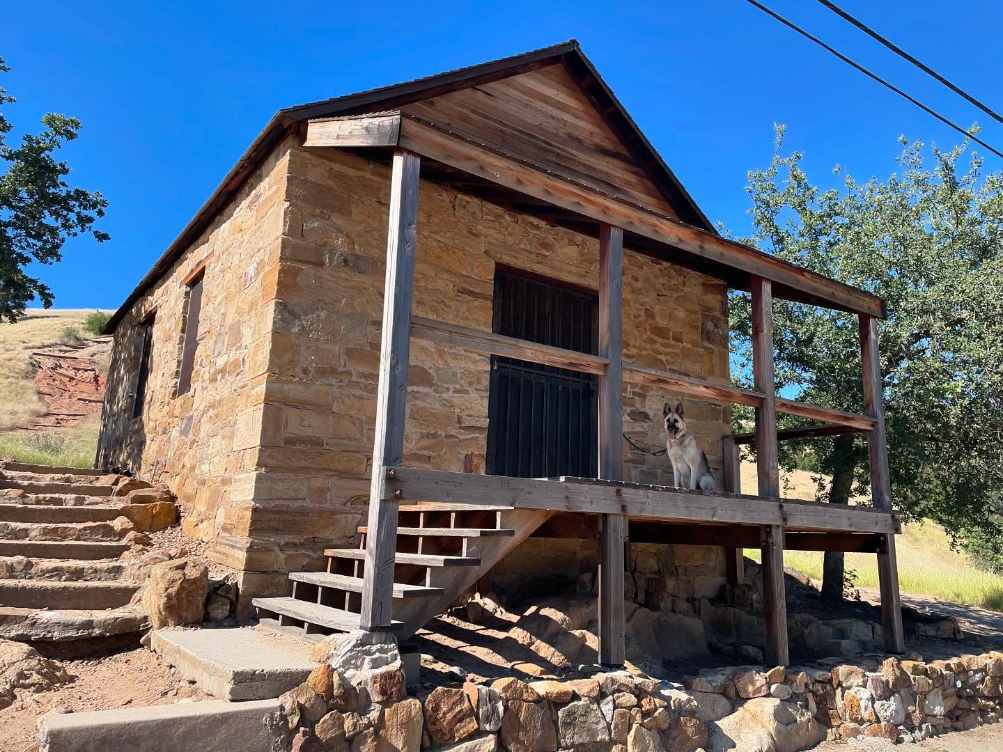 ⁣ May 12, 2024: Knights Ferry ⁣ ⁣ #germanshepherd #gsd #dogs #dogadventures