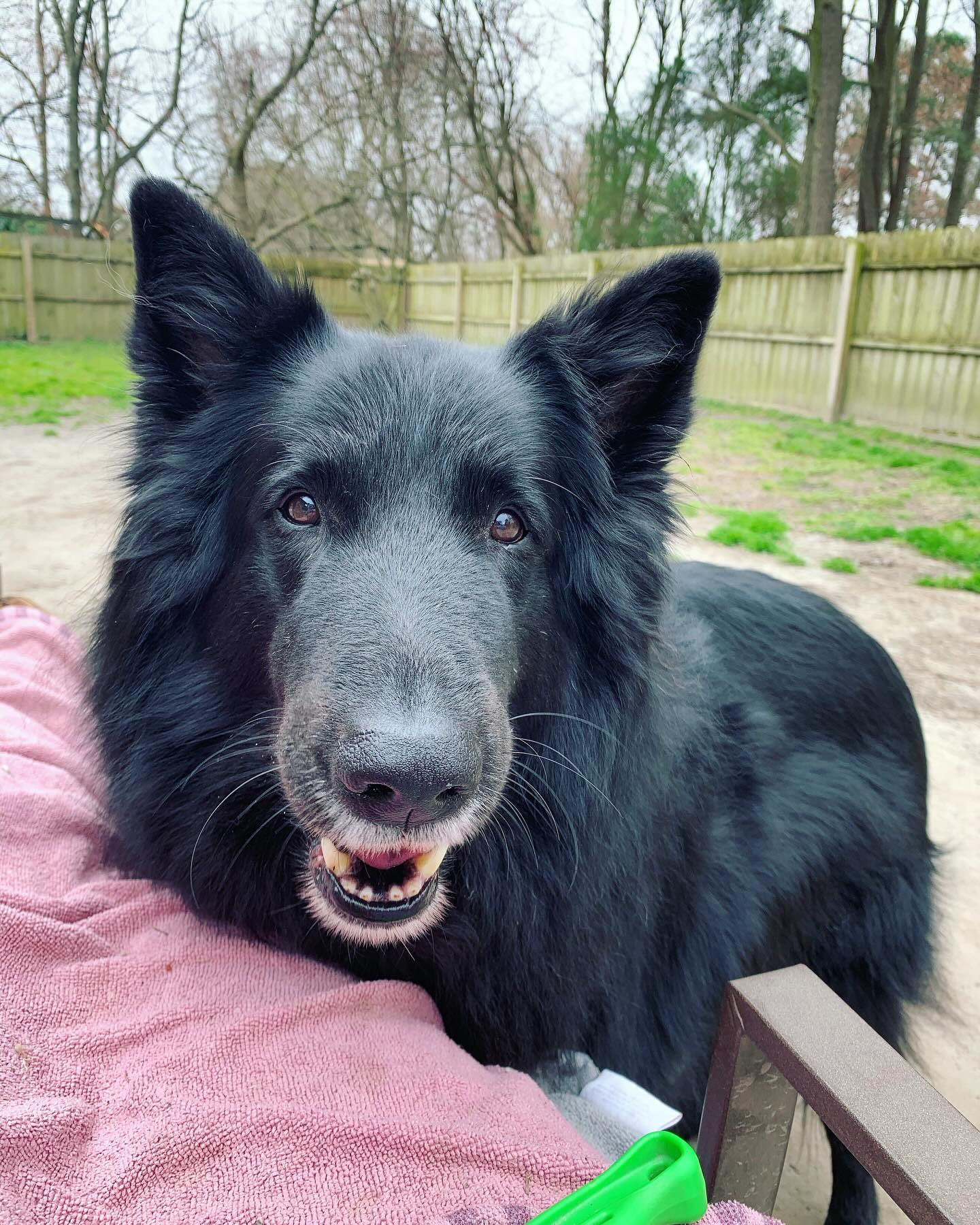 ⁣ One month without my sweet boy ⁣ ⁣ I miss everything about him. ⁣ I just want my Bubba back 🌈