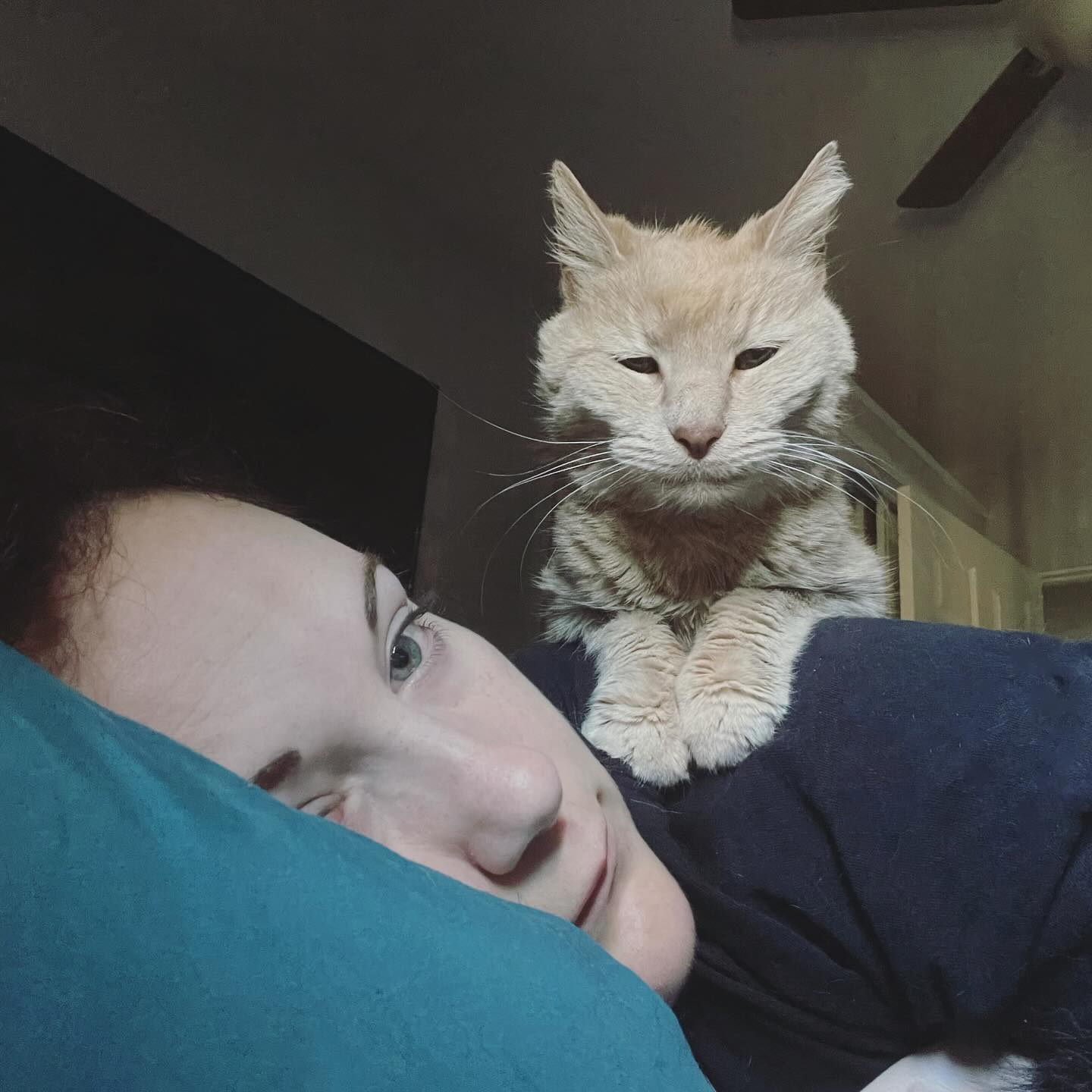 ⁣ Rajah ✞ June 18, 2023 ⁣ ⁣ I miss you so incredibly much, sweet girl, and wish that I could hold you in my arms and cuddle you and sing silly songs to you. I miss how fearless yo...