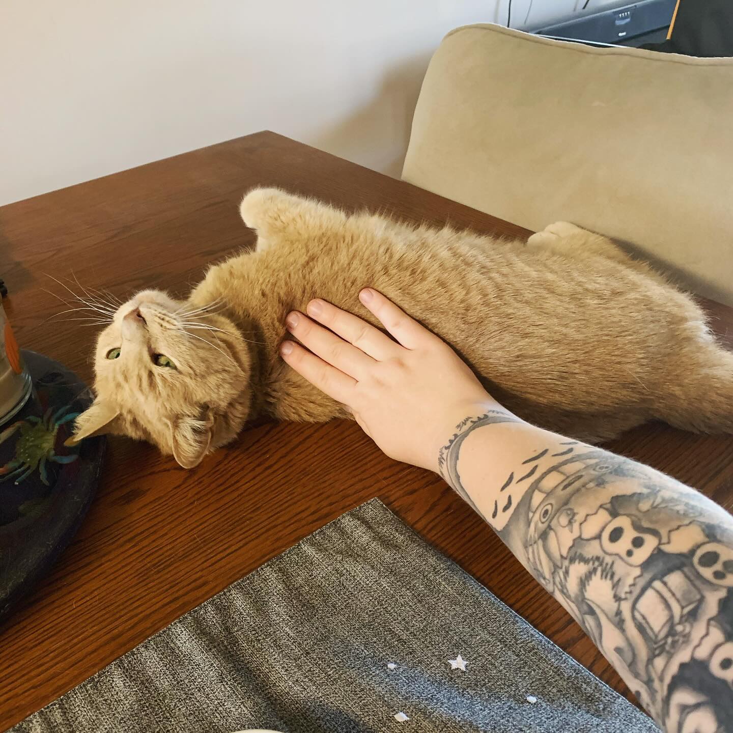 ⁣ Rajah ✞ June 18, 2023 ⁣ ⁣ I miss you so incredibly much, sweet girl, and wish that I could hold you in my arms and cuddle you and sing silly songs to you. I miss how fearless yo...