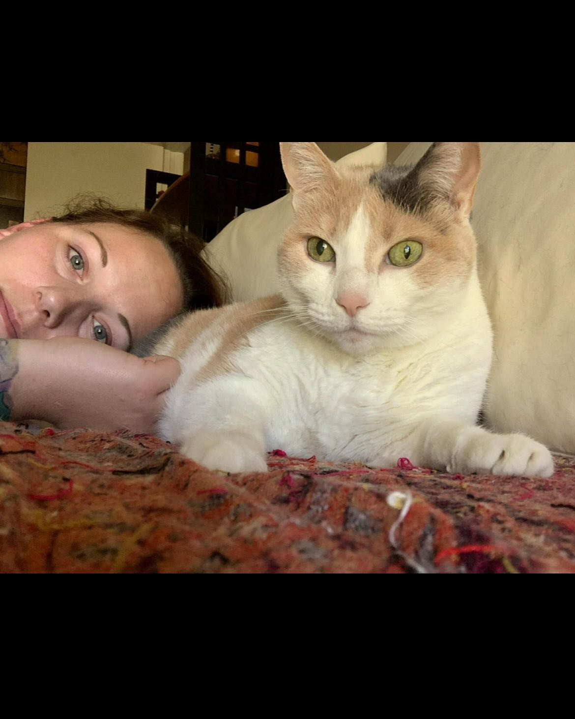 ⁣ ✞ Raspberry ⁣ approx. 06/2007 to 12/09/2022 ⁣ ⁣ I miss you so much, my grumpy girl 🤍