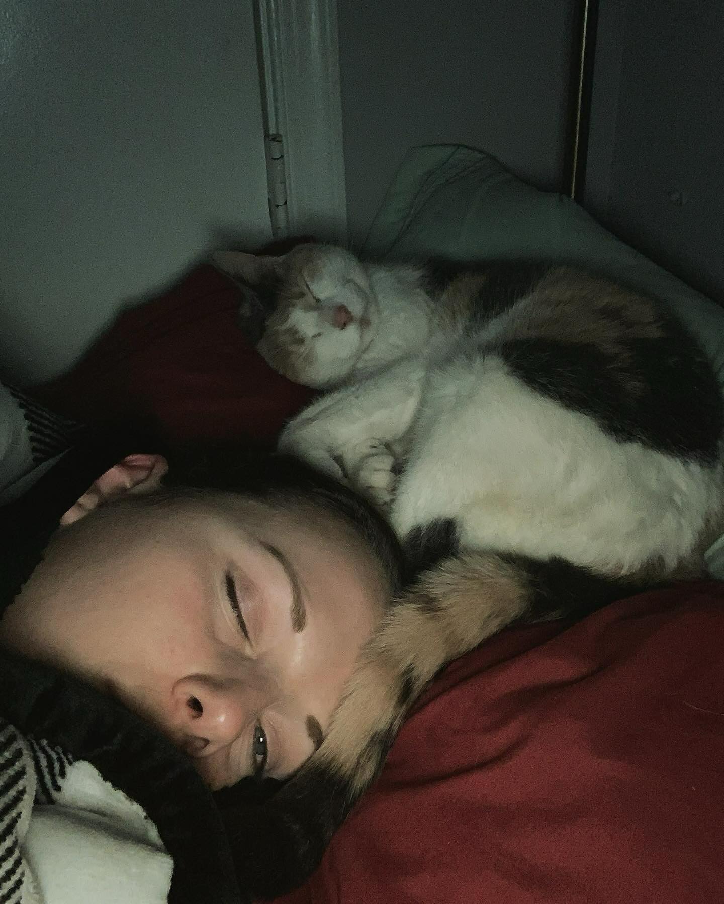 ⁣ ✞ Raspberry ⁣ approx. 06/2007 to 12/09/2022 ⁣ ⁣ I miss you so much, my grumpy girl 🤍