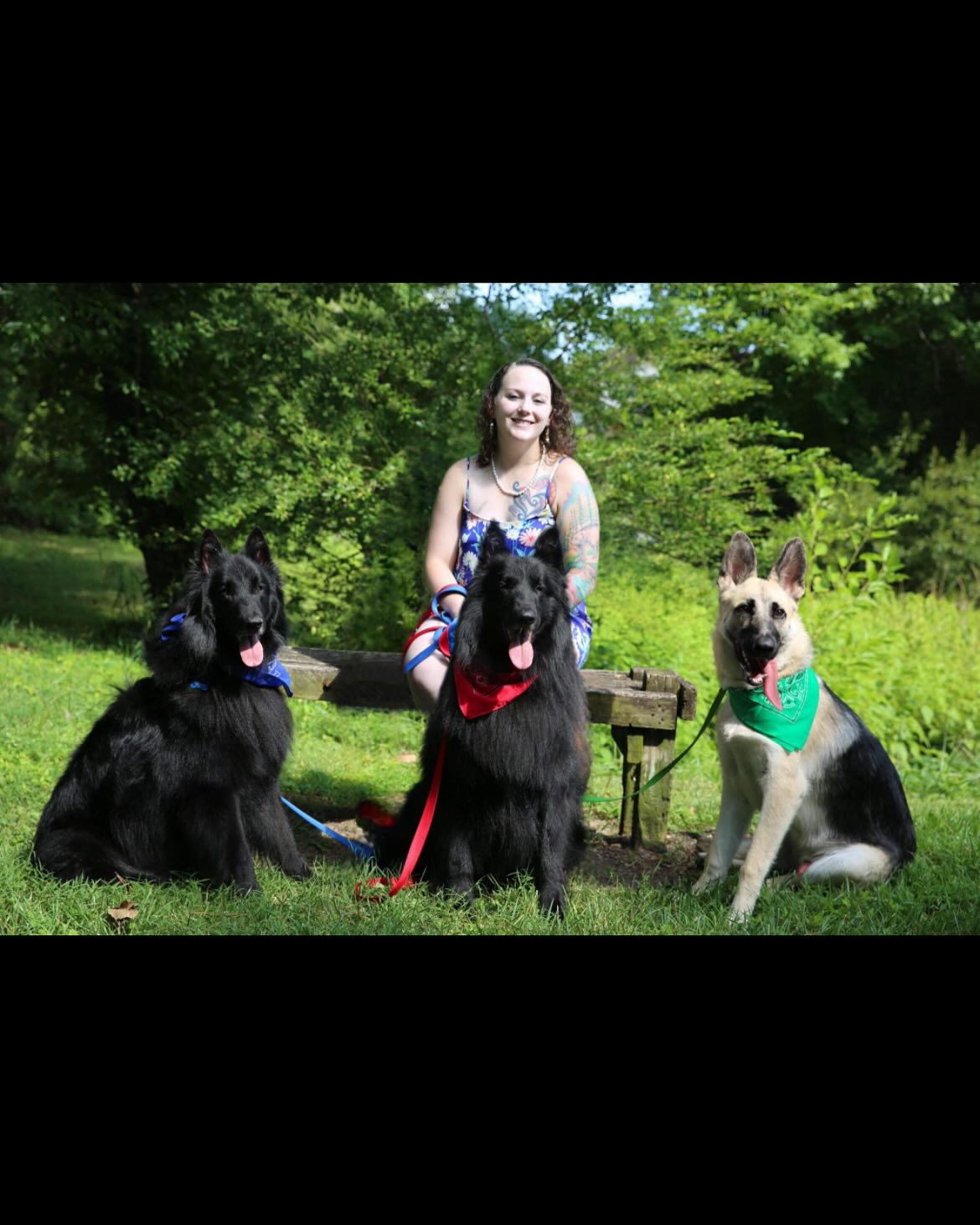 ❤️⁣⁣ ✞ Sirius⁣⁣ 12/23/2013 to 05/10/2024 ⁣ ⁣ My sweet Bubba, I miss you so incredibly much, and I can’t believe it’s already been a year since we had to say goodbye. ⁣ I miss how...