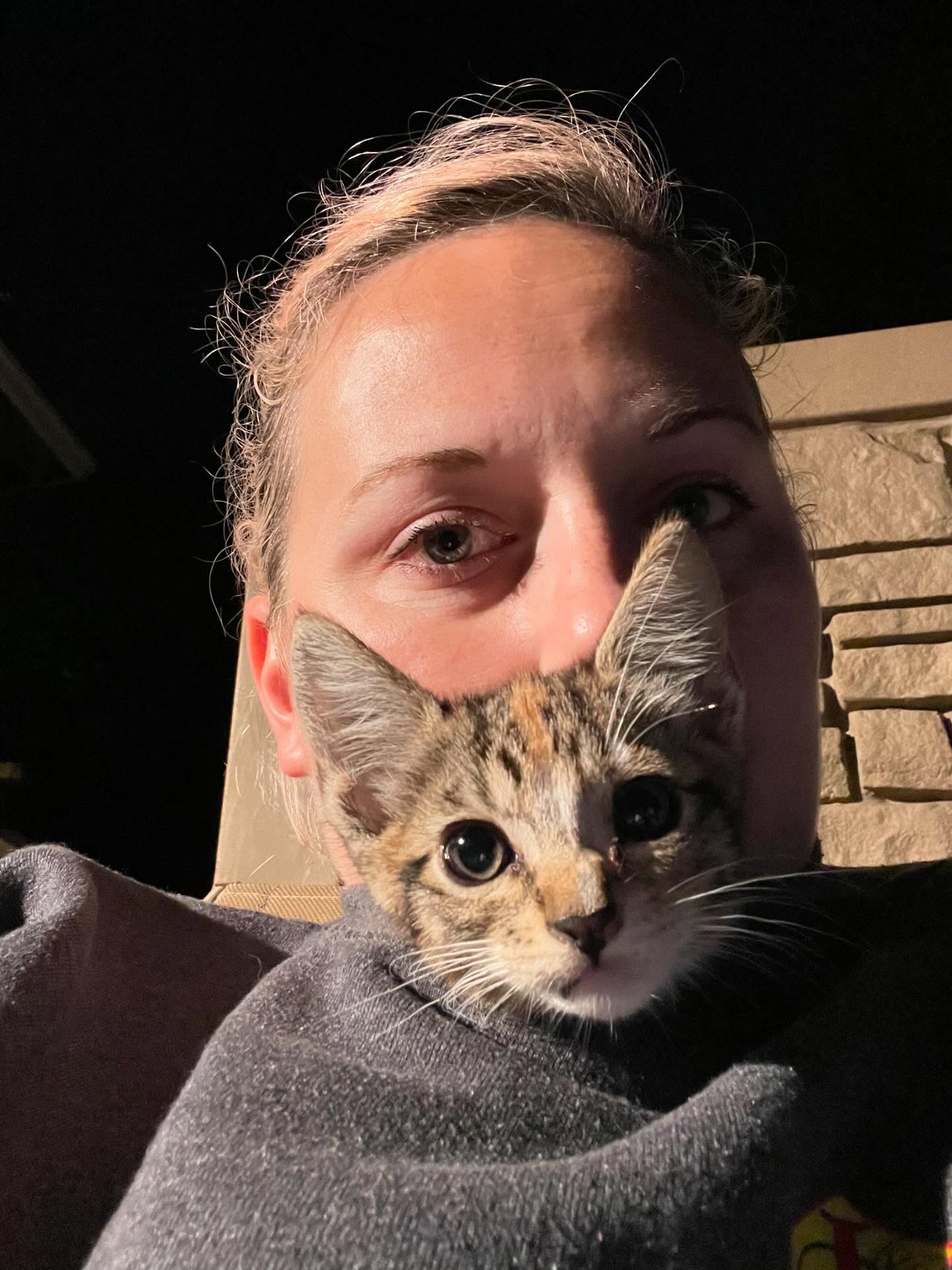 🤠⁣ June 18, 2025: Happy 1yr GOTCHA! Day to my little Farmer George⁣ ⁣ George had seemingly been abandoned by her mother when I found her screaming under my neighbor’s car, who sai...