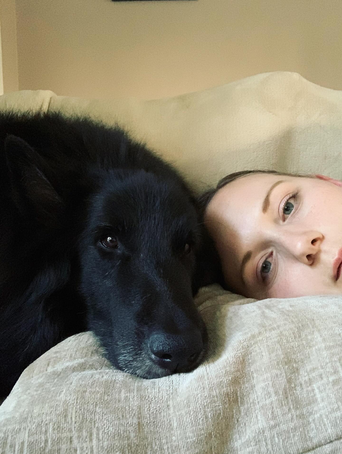 💙⁣⁣ ✞ Remus⁣⁣ 12/23/2013 to 01/16/2023 ⁣⁣ ⁣ 3 years of missing you, and wishing that I had done so many things differently... ⁣ Losing you, while also losing your brother and 2 of...