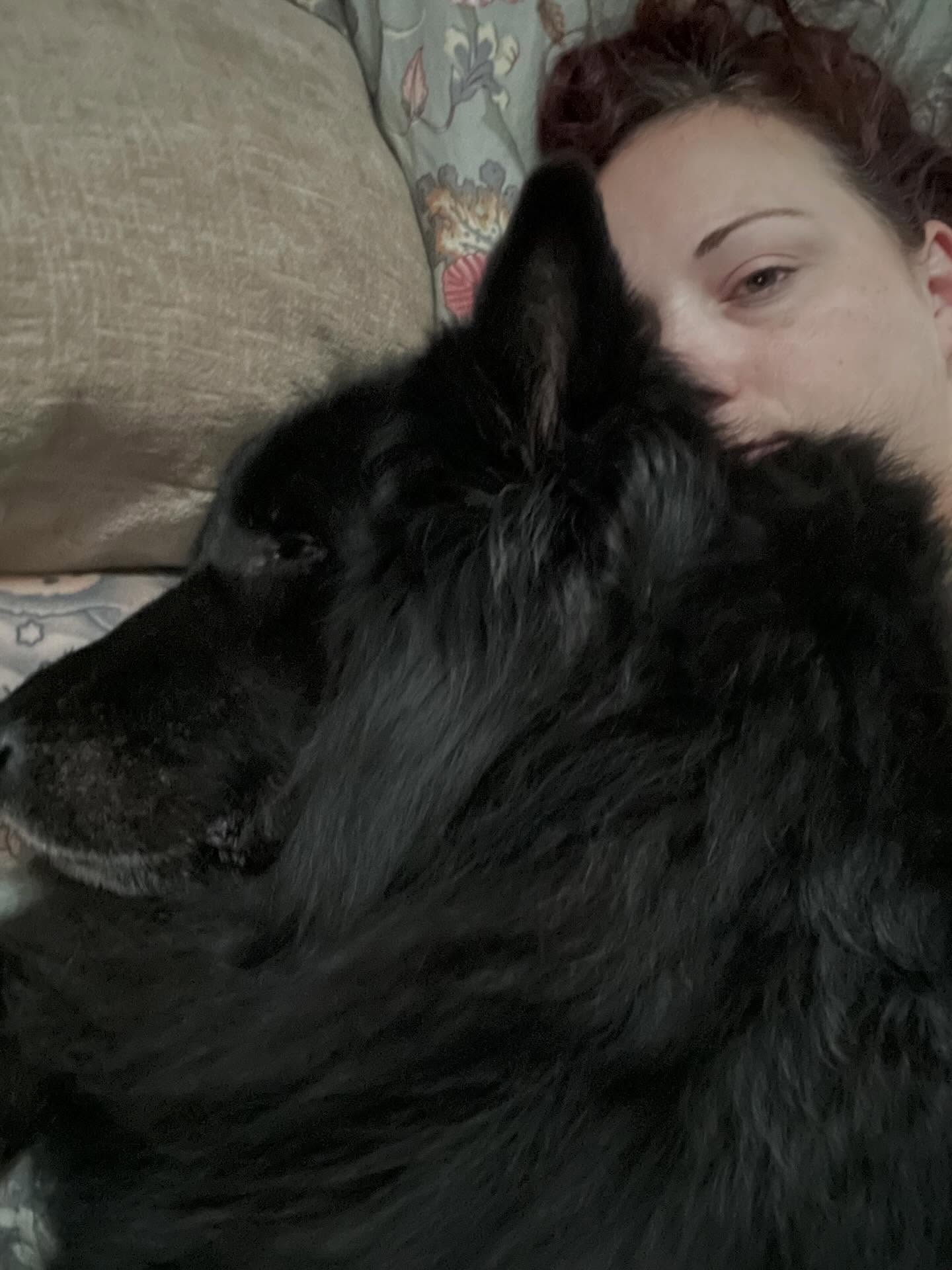 ❤️⁣ ✞ Sirius⁣⁣⁣ 12/23/2013 to 05/10/2024⁣ ⁣ 2 years without my goofy goober, the cuddliest and silliest boy I ever did see. ⁣ I love you to the ends of the universe, Sirius. We sh...